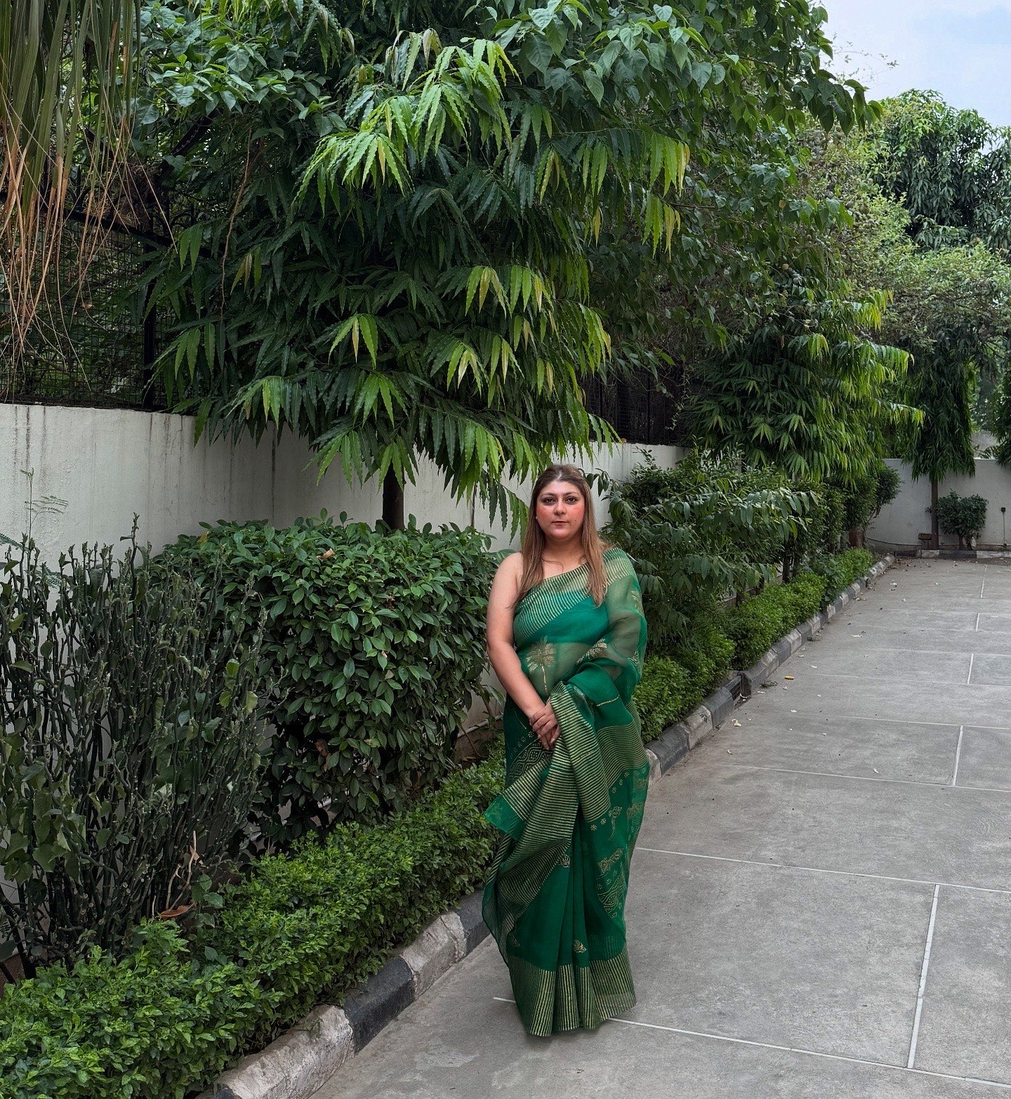Tiger & Tree Organza Saree