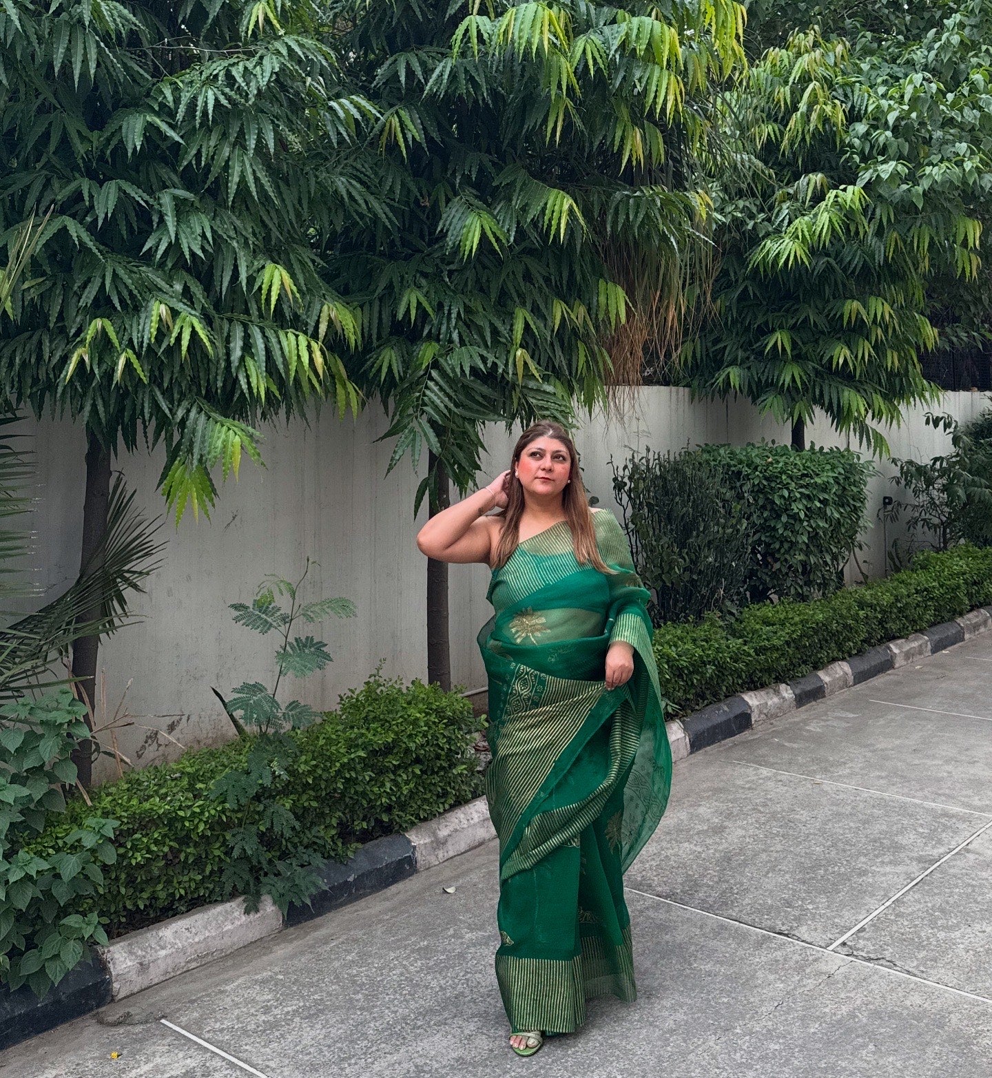 Tiger & Tree Organza Saree