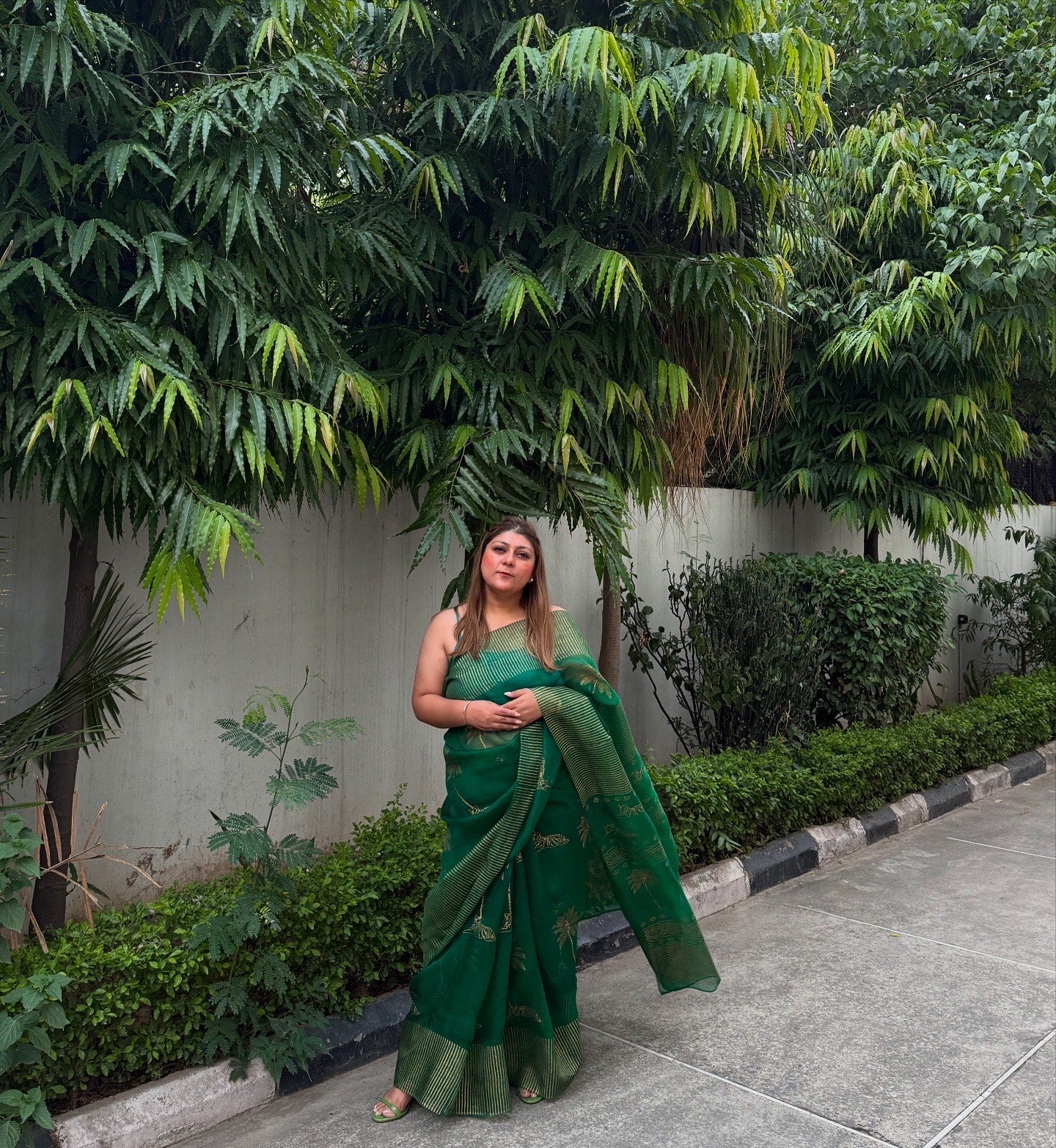 Tiger & Tree Organza Saree