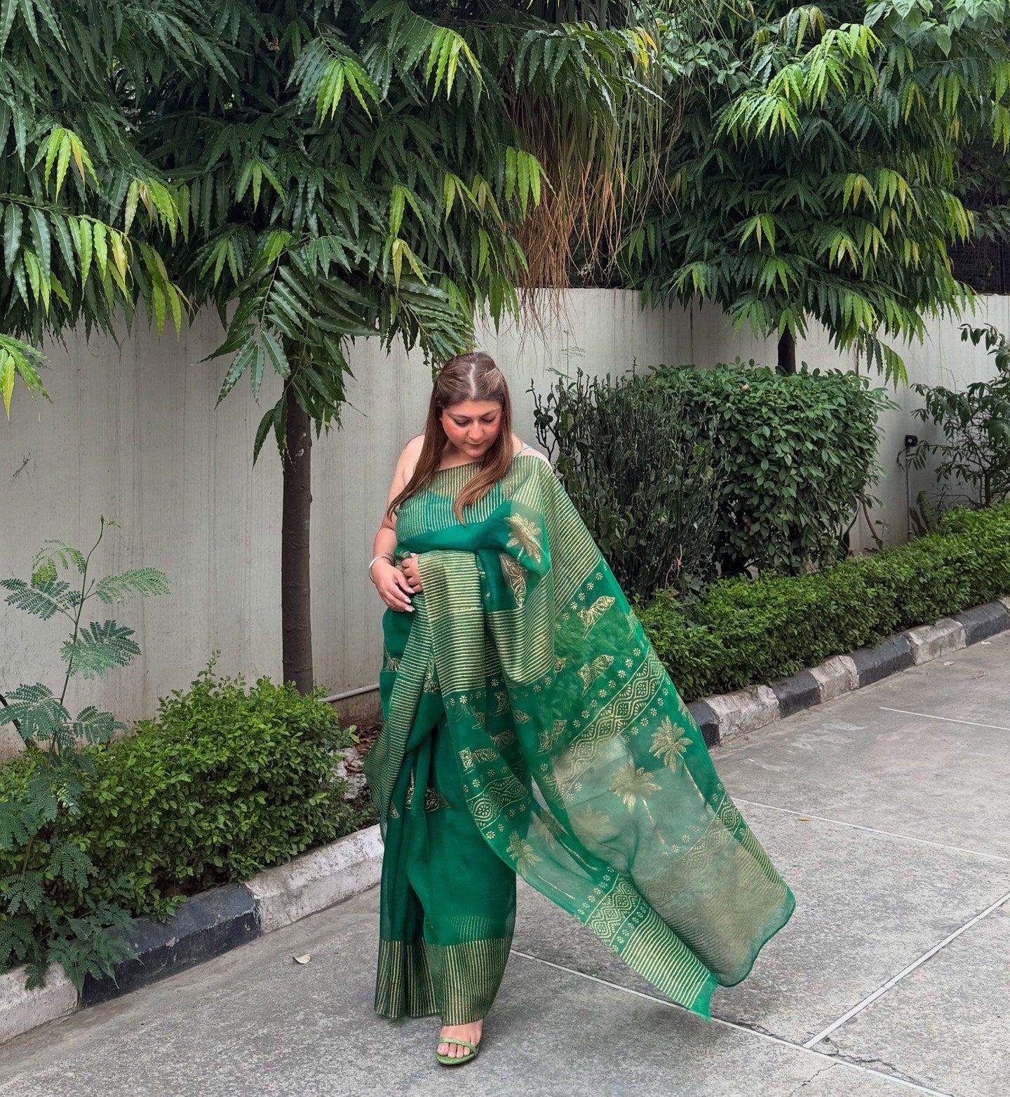 Tiger & Tree Organza Saree