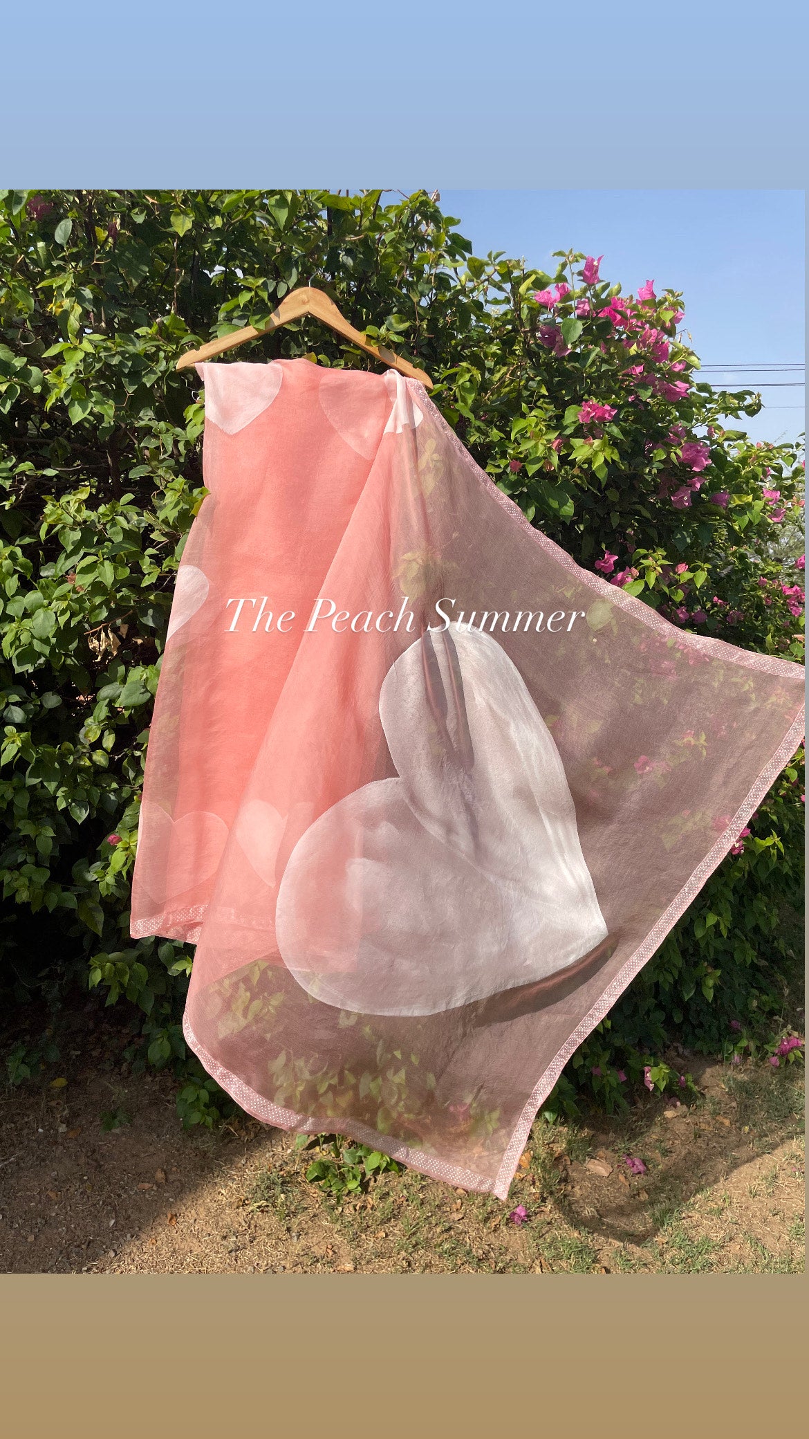 Heart Organza Saree
