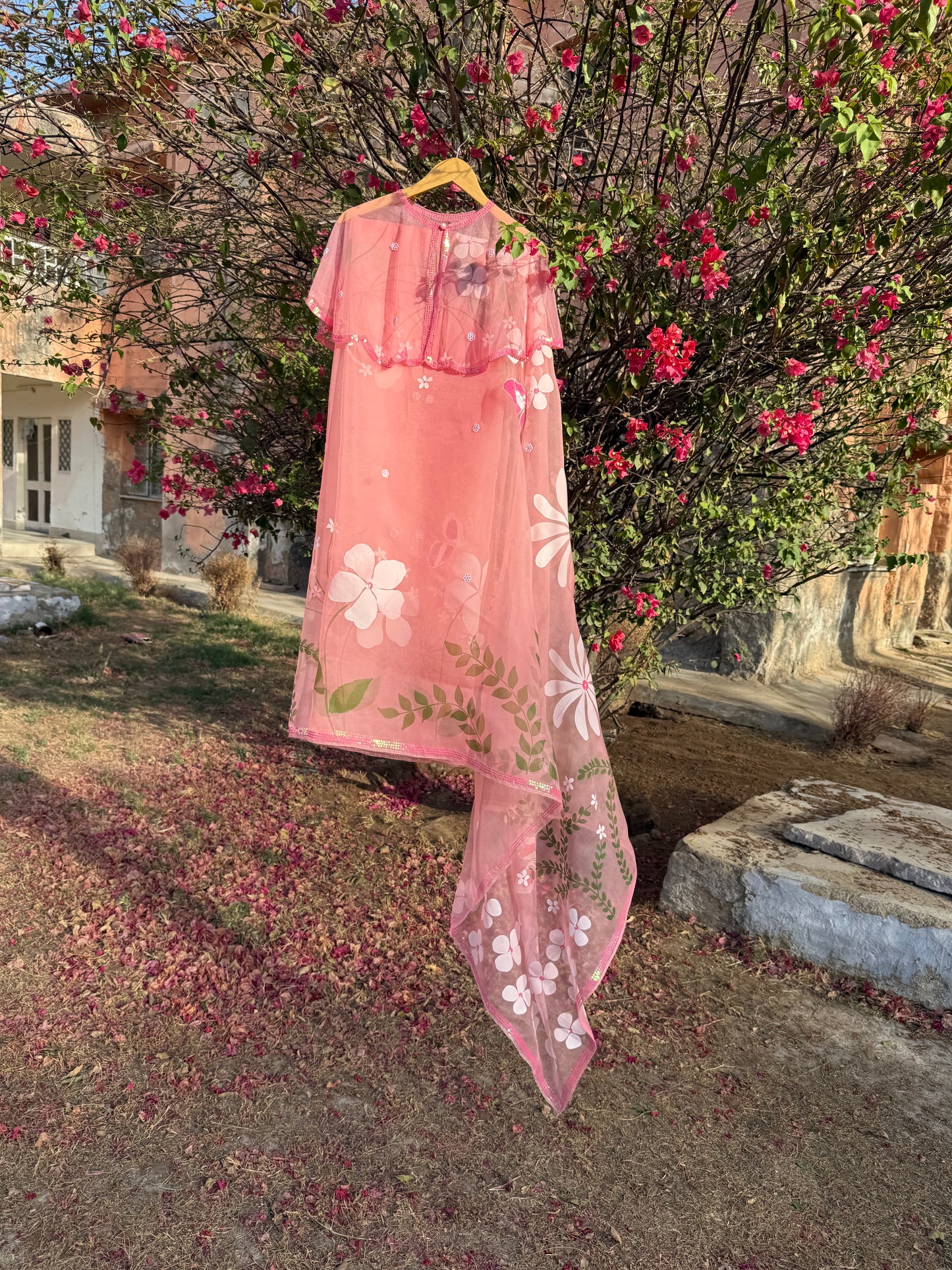 Multi Floral Organza Saree