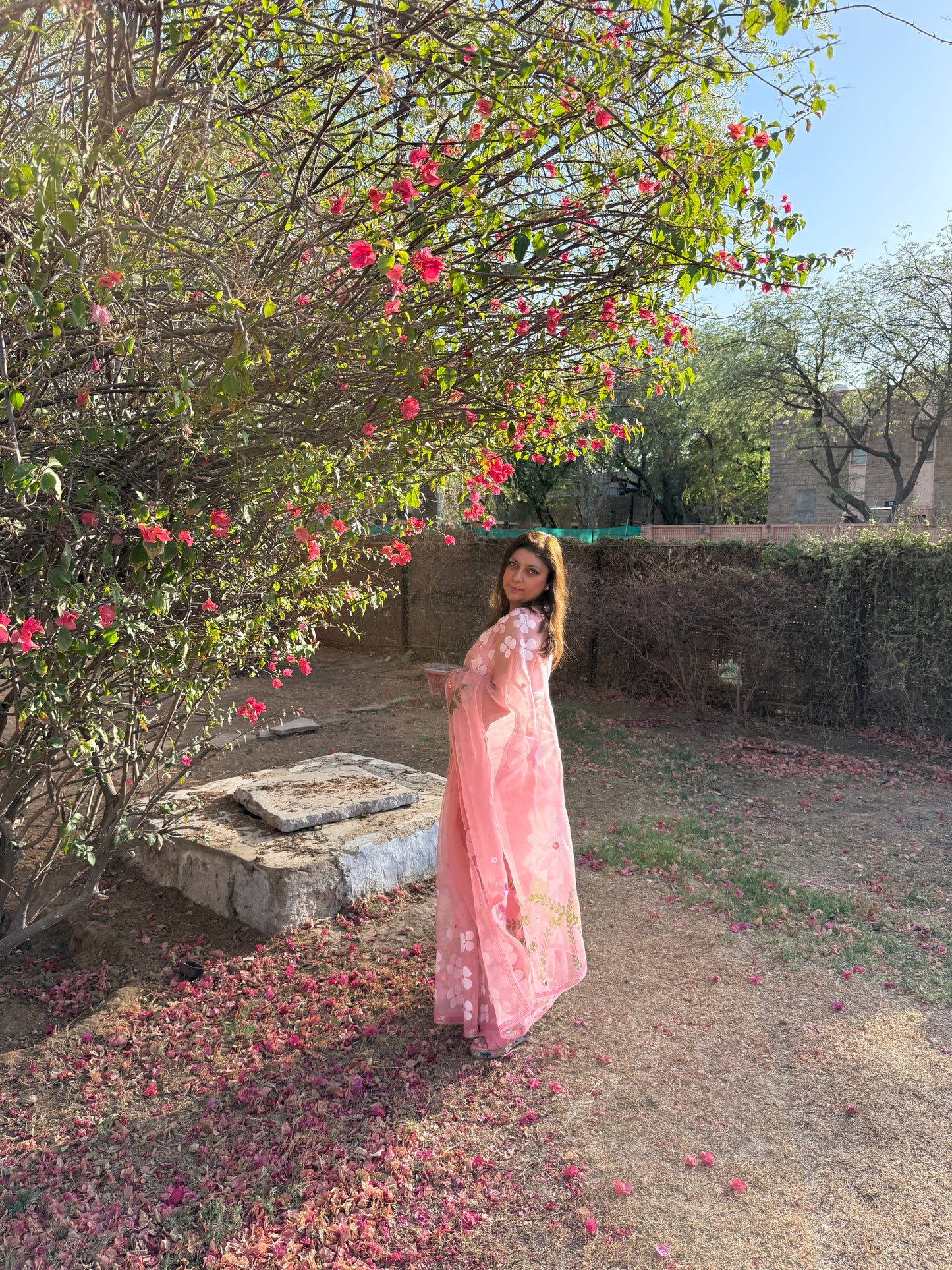 Multi Floral Organza Saree