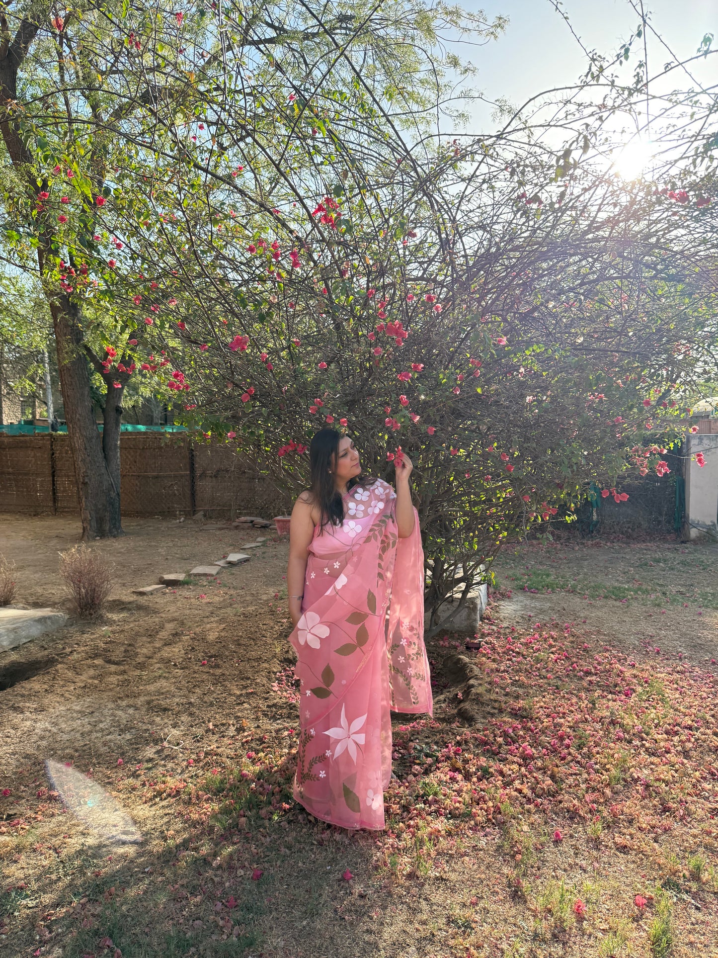Multi Floral Organza Saree