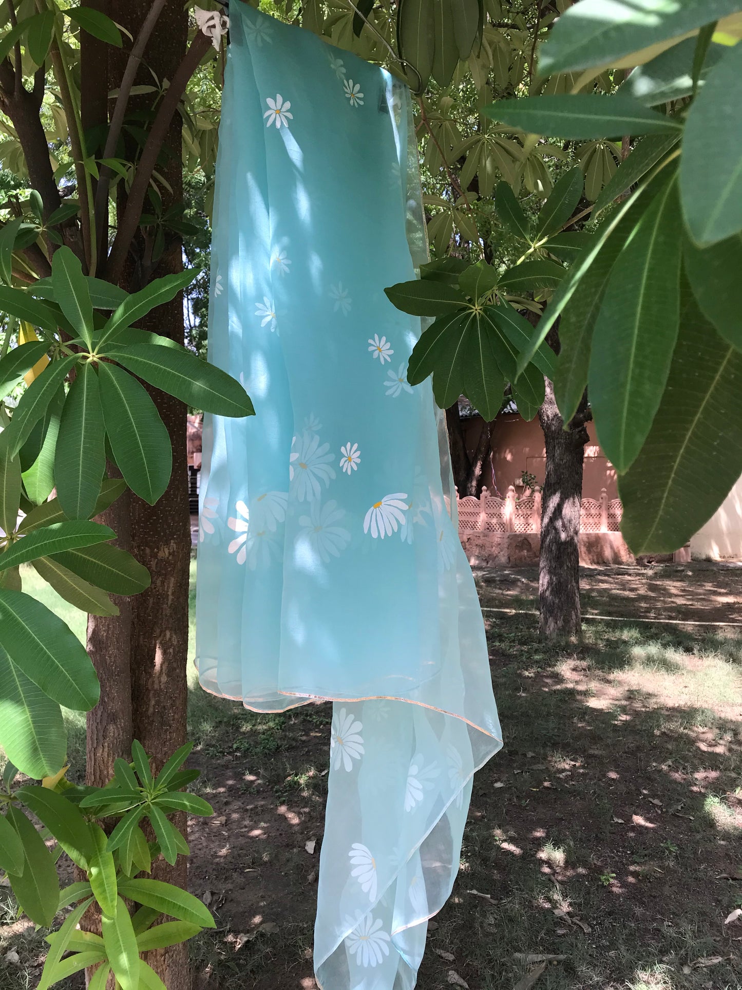 Daisy Organza Saree