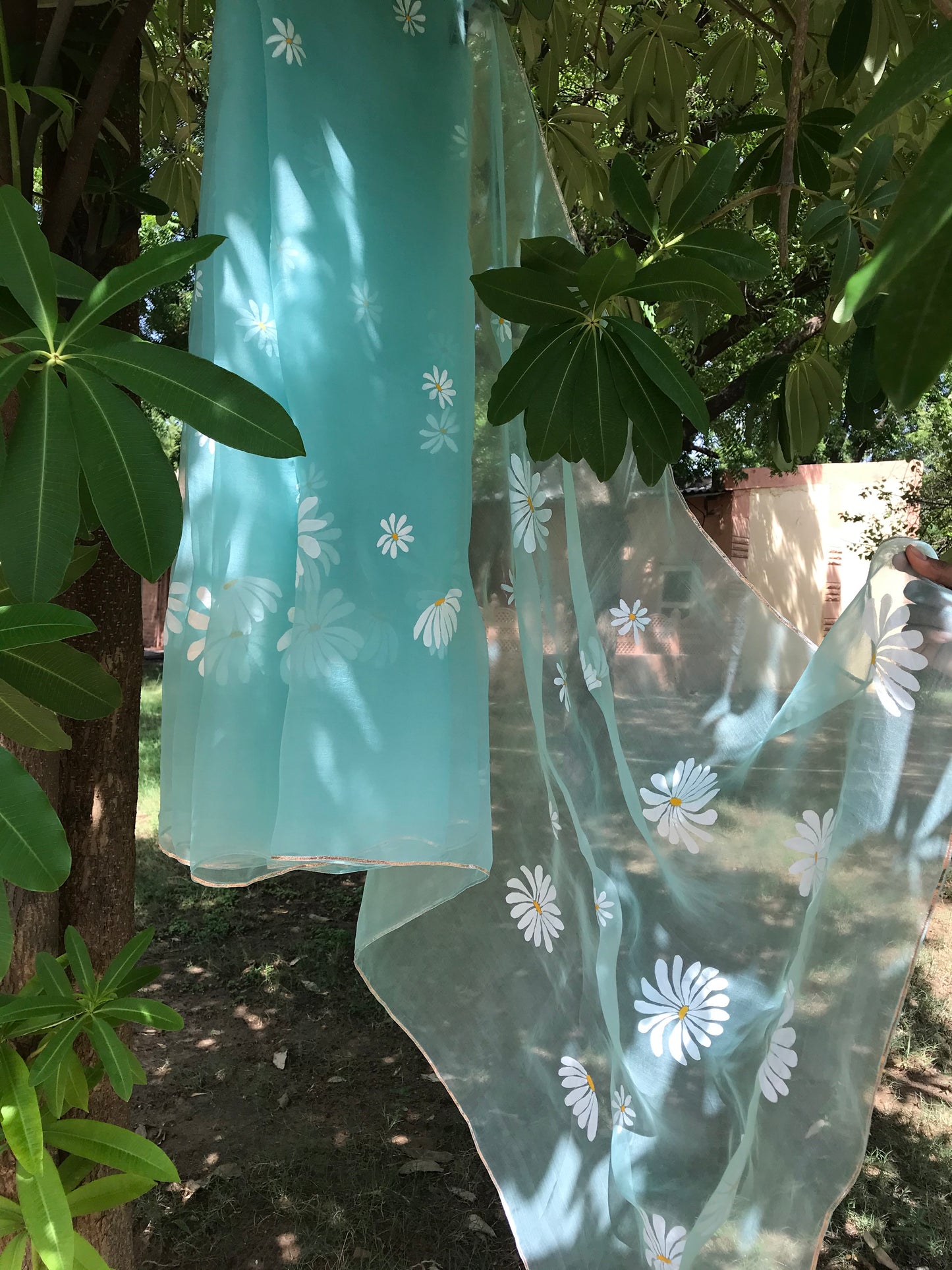 Daisy Organza Saree