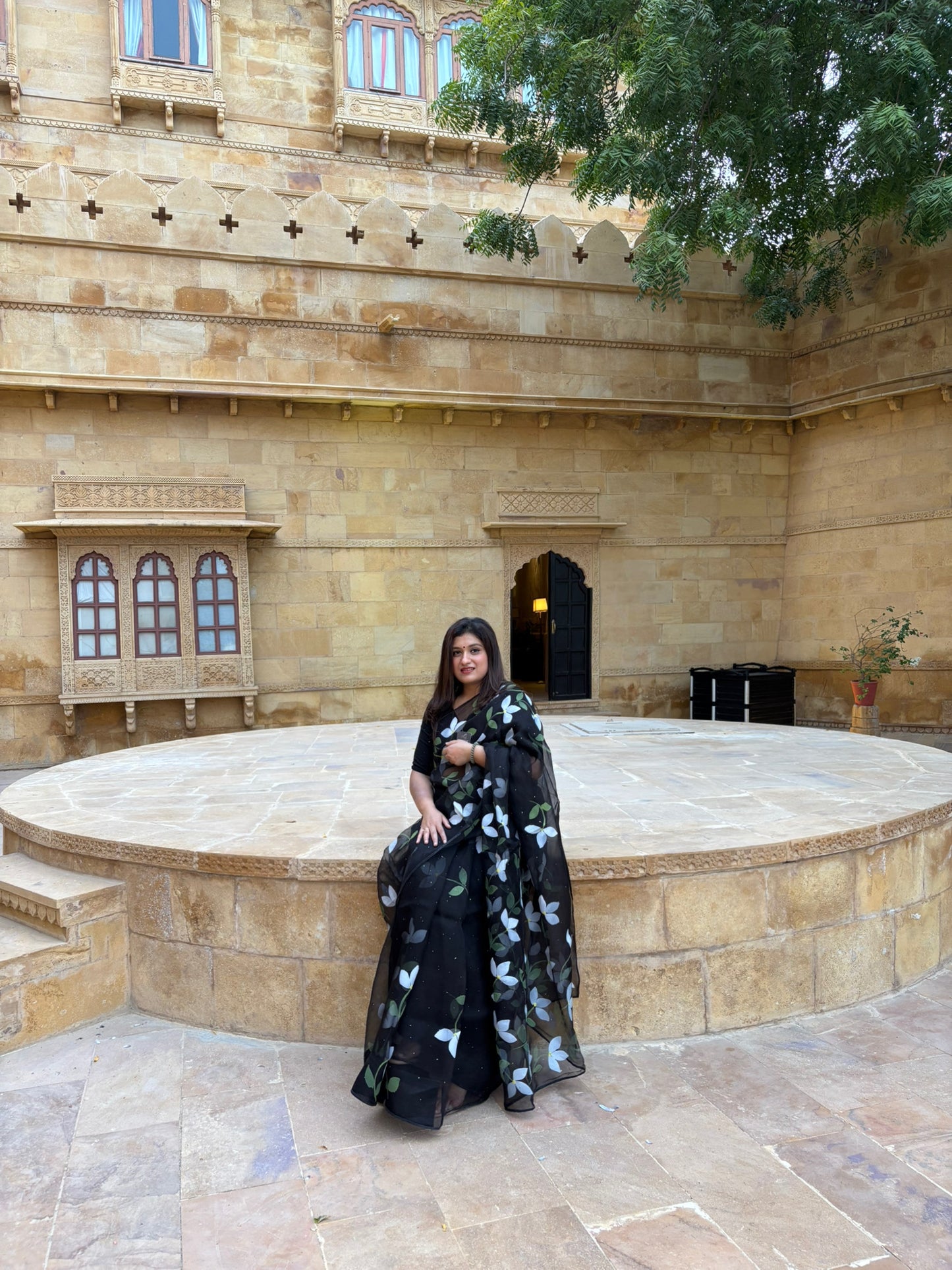 Bougainvilleas Organza Saree
