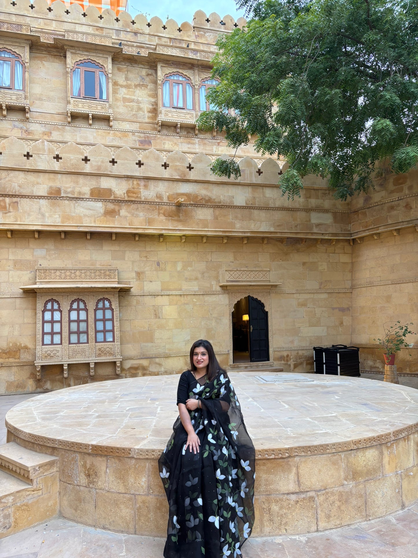 Bougainvilleas Organza Saree