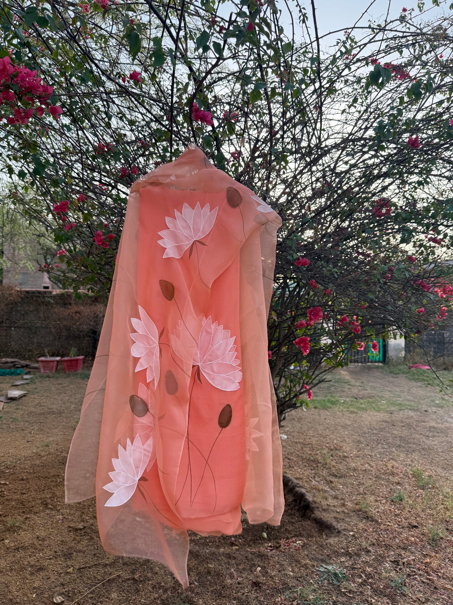 Lotus Chiffon Suit