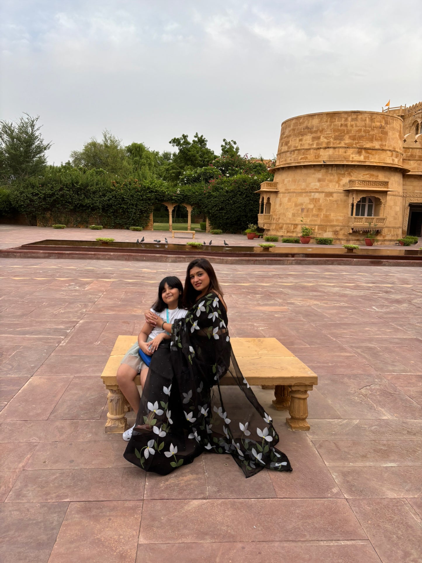 Bougainvilleas Organza Saree