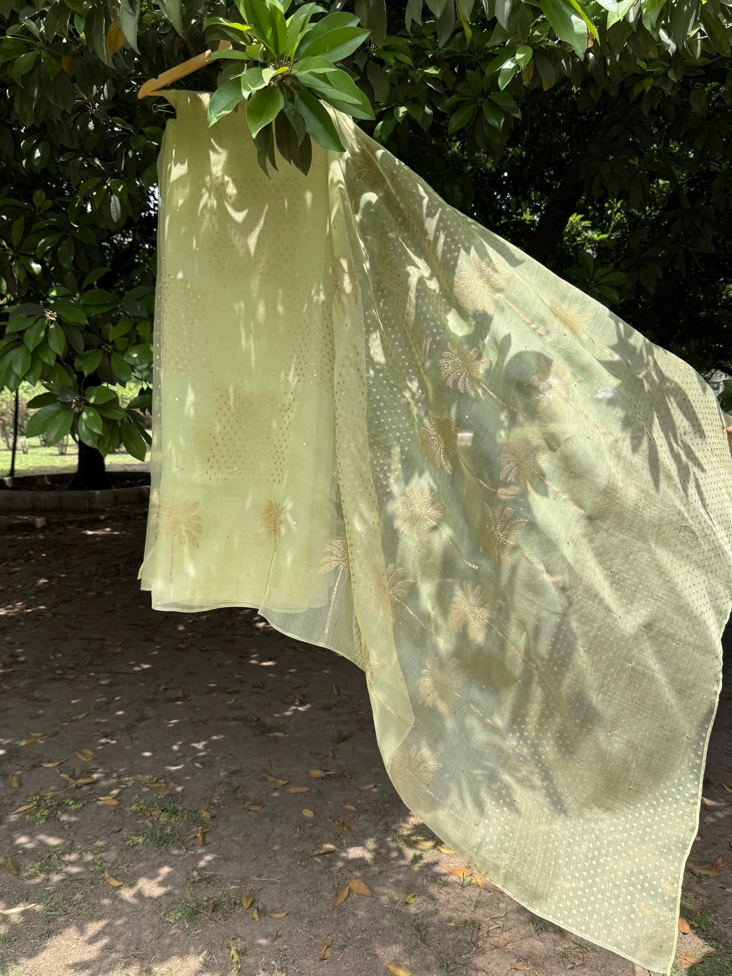 Palm Tree Organza Saree
