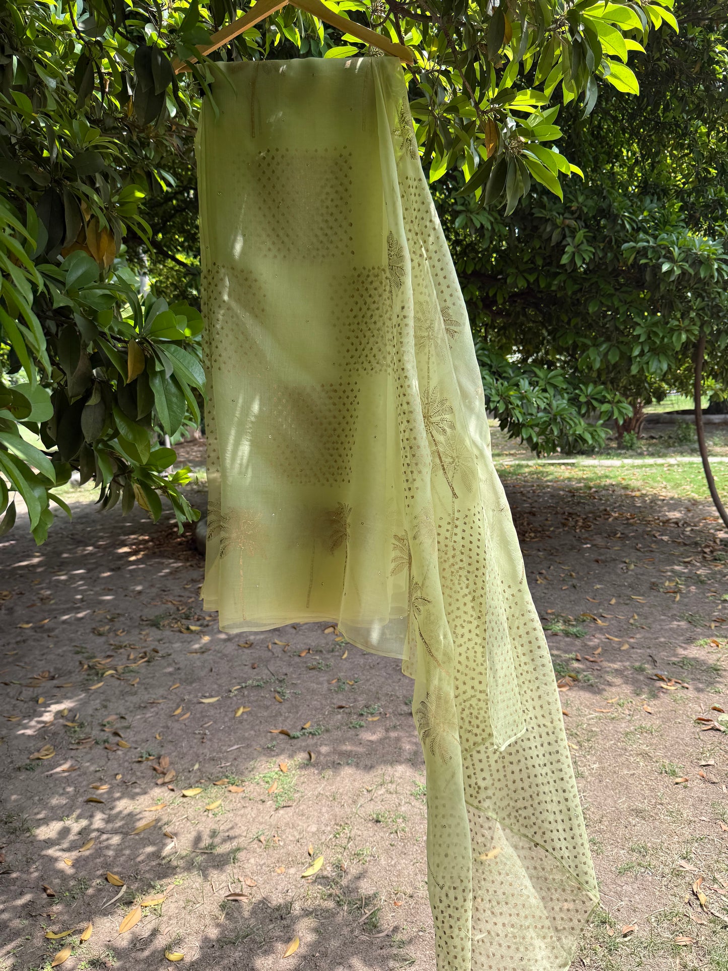 Palm Tree Organza Saree