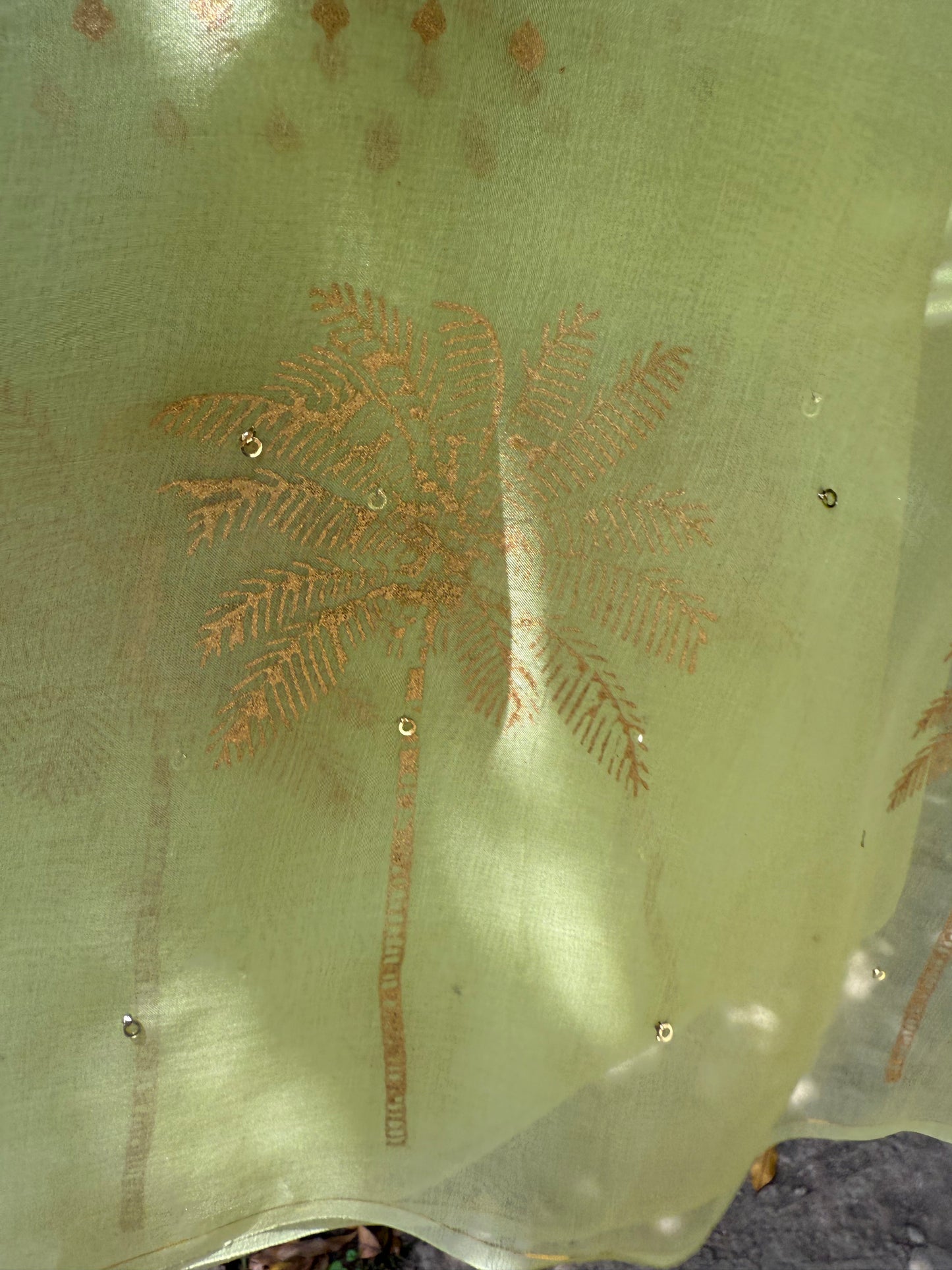 Palm Tree Organza Saree