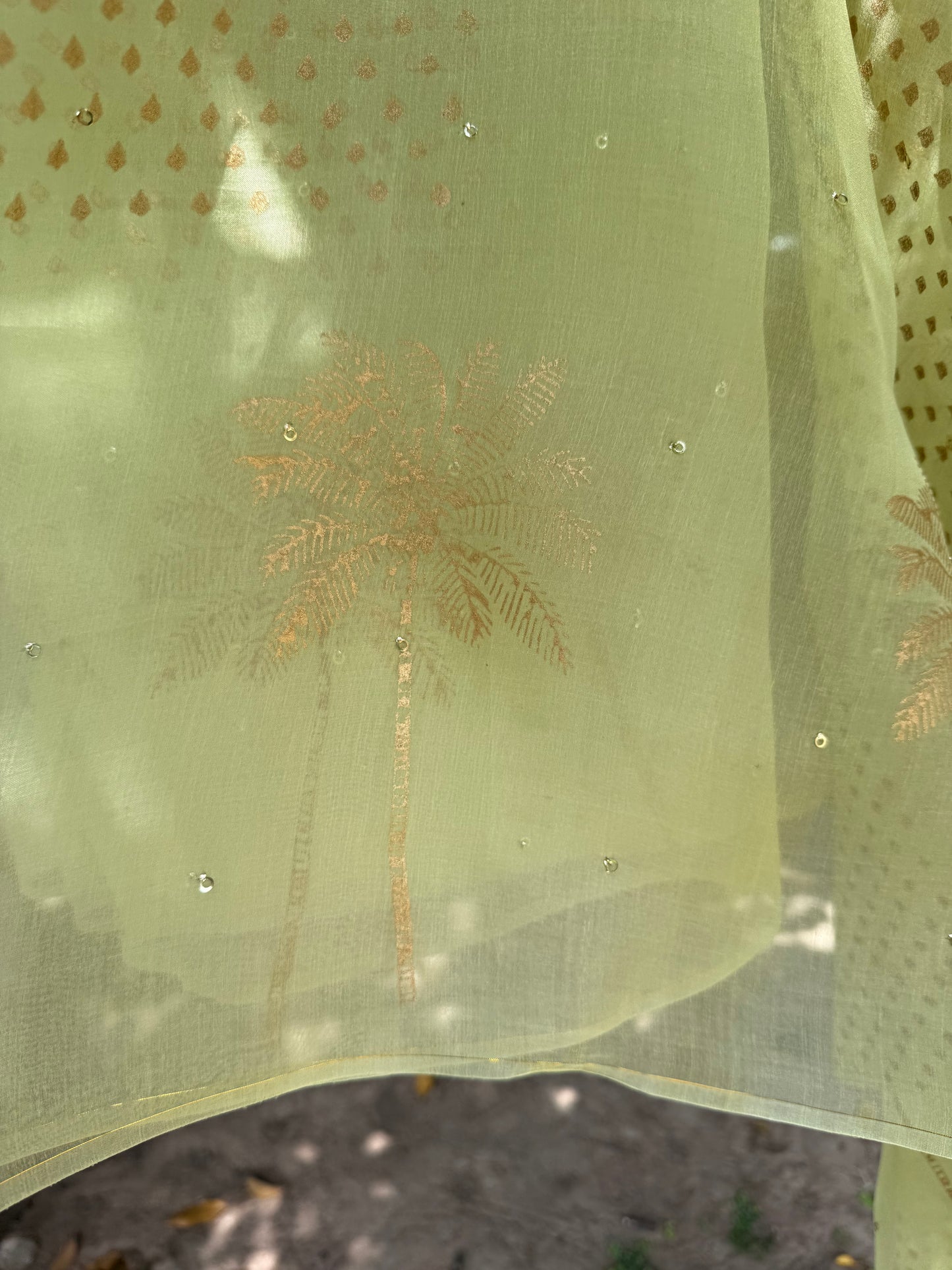 Tree Organza Saree