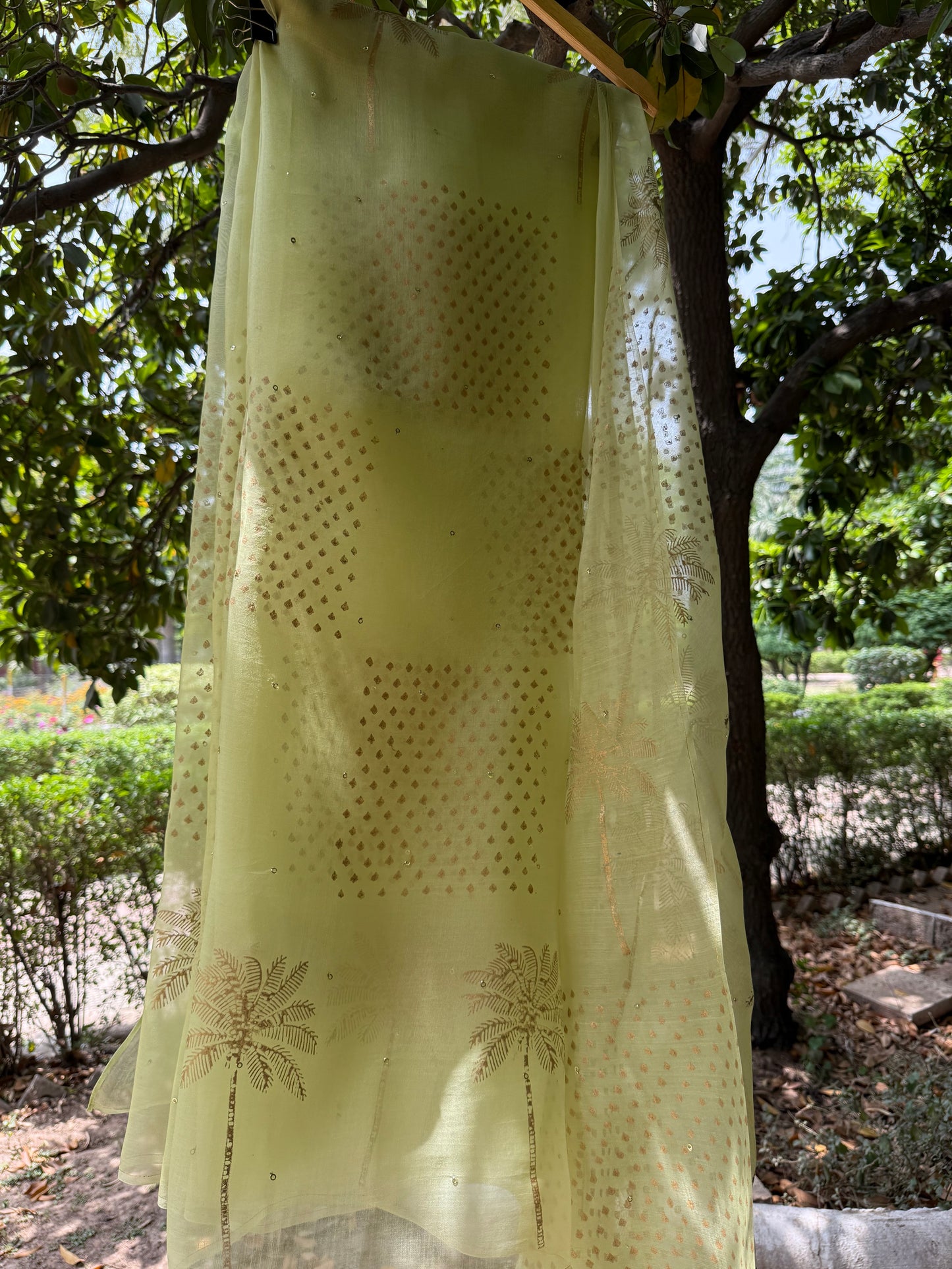 Tree Organza Saree