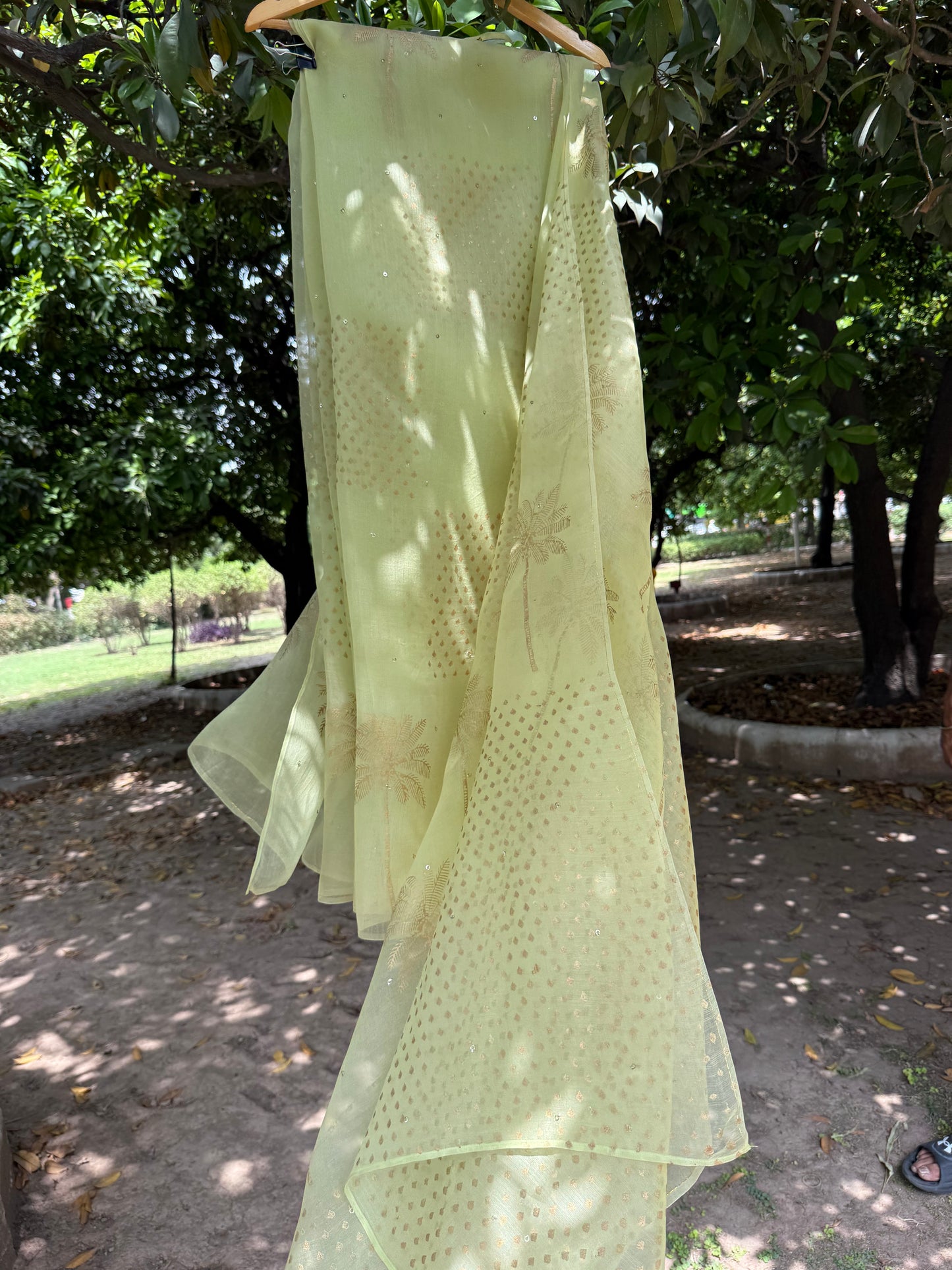 Tree Organza Saree