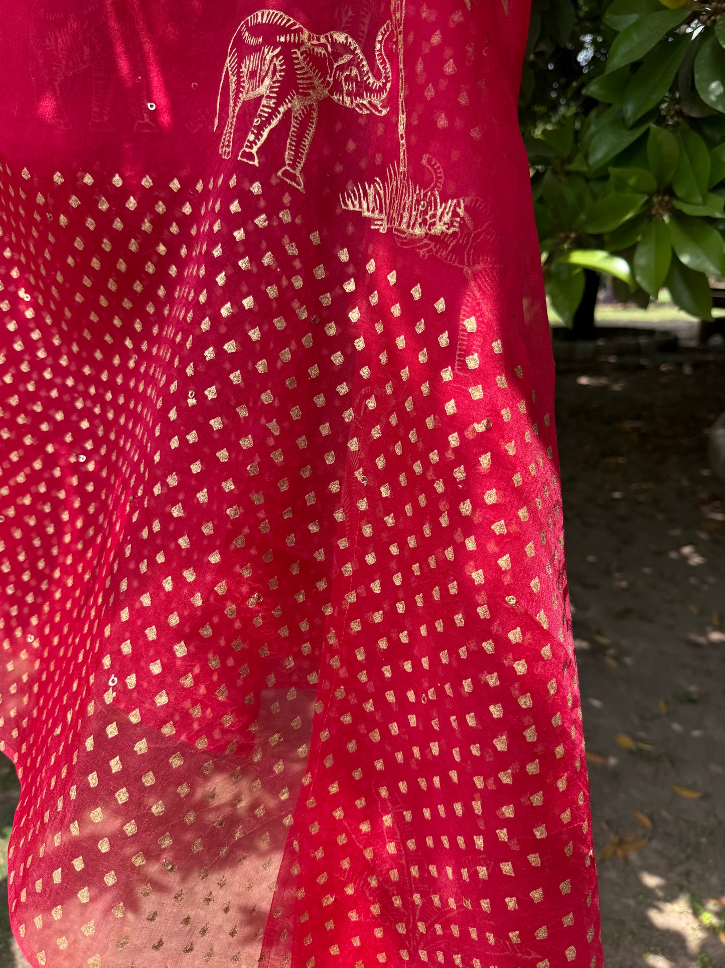 Elephant & Tree Organza Saree