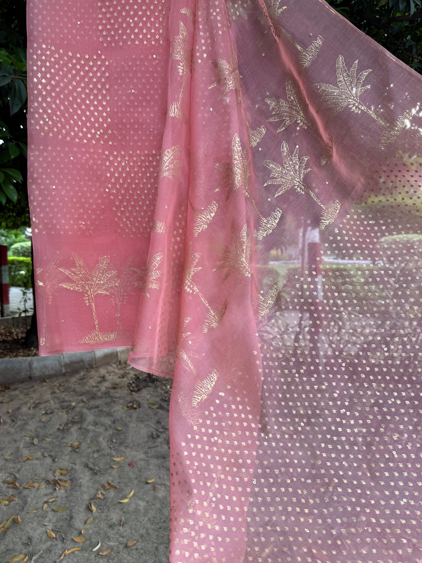 The Banana tree Organza Saree