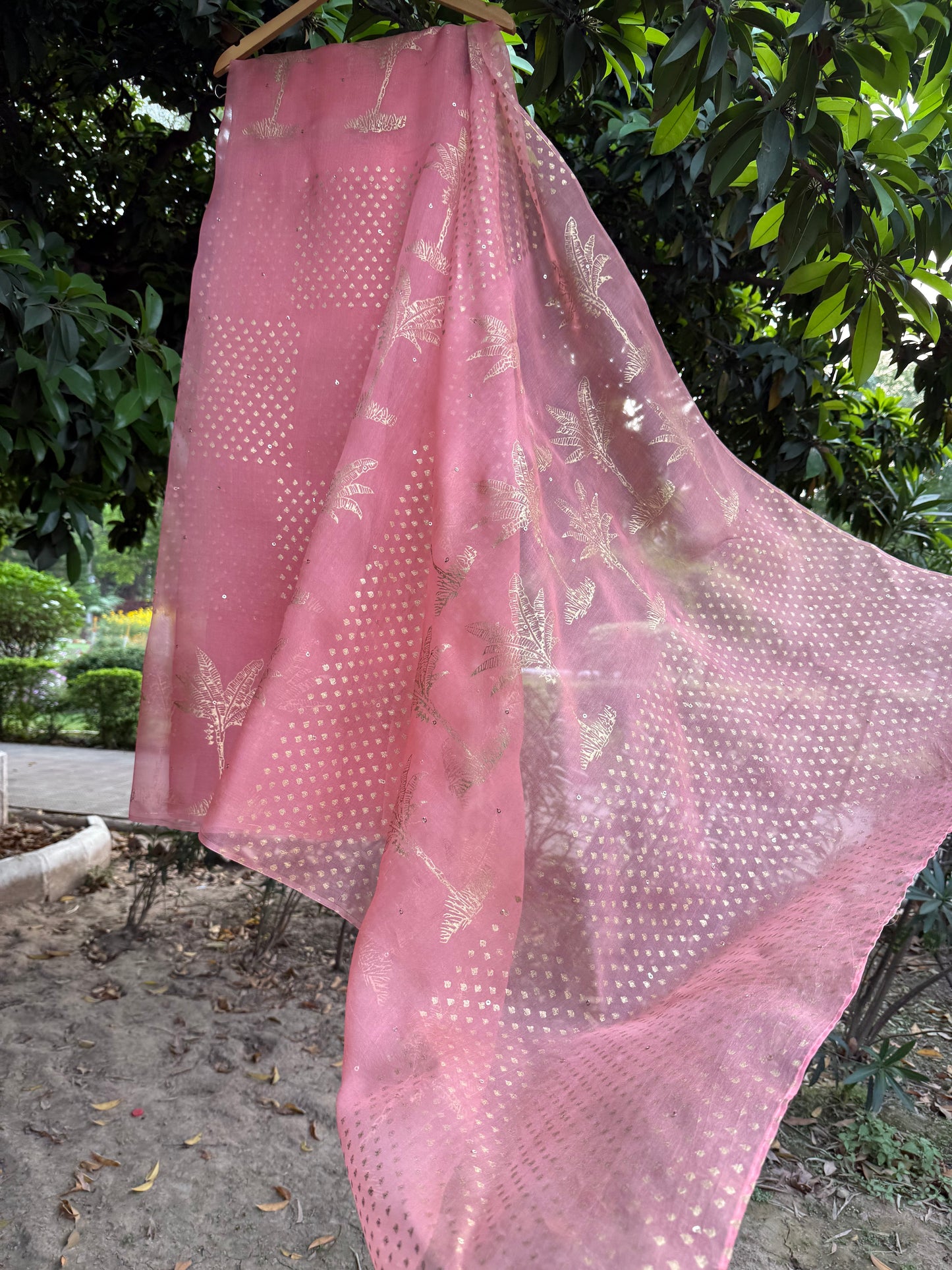 The Banana tree Organza Saree