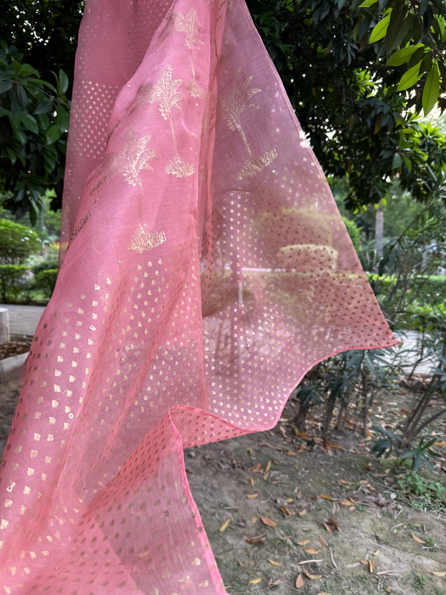 The Banana tree Organza Saree