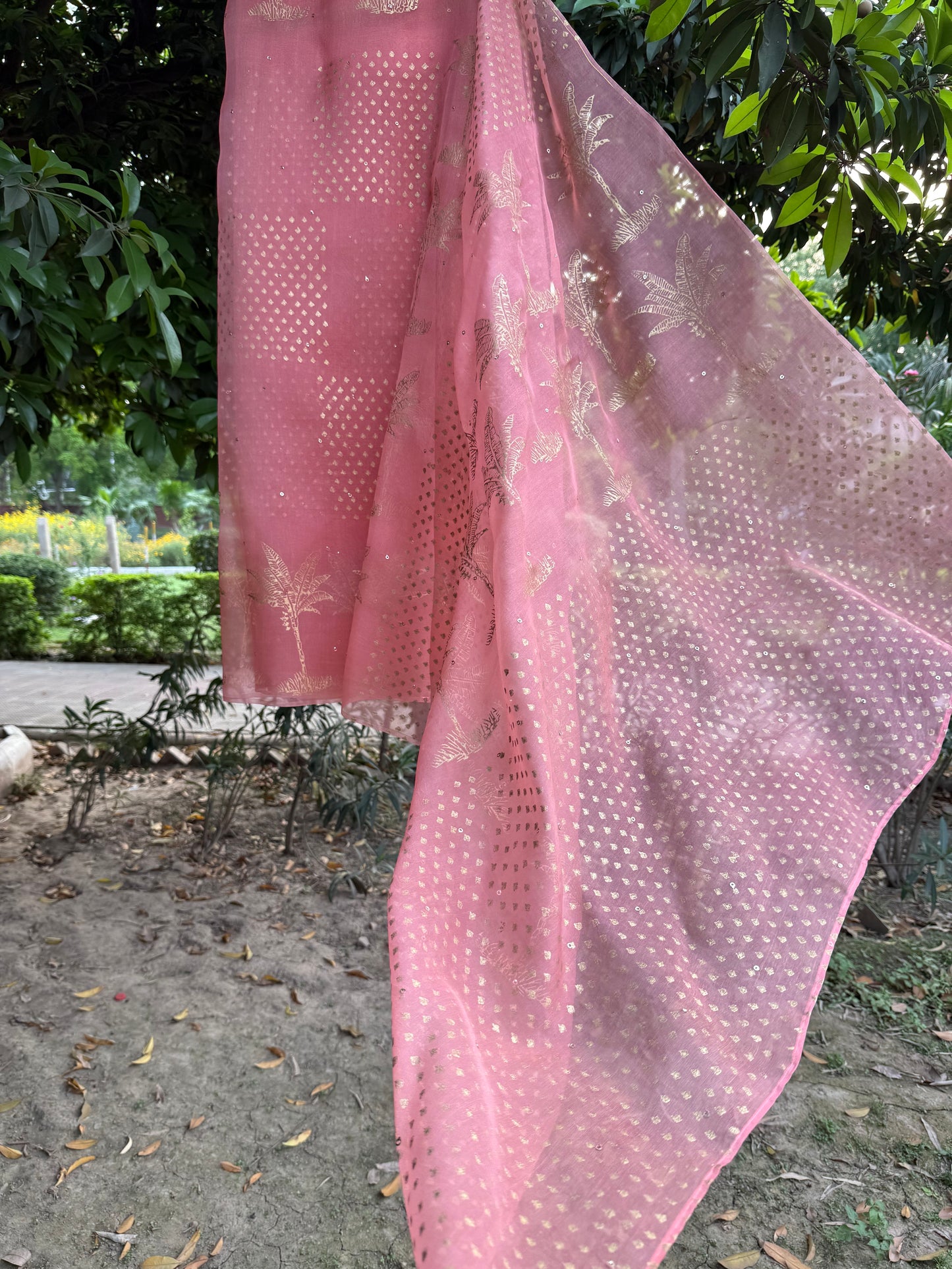The Banana tree Organza Saree