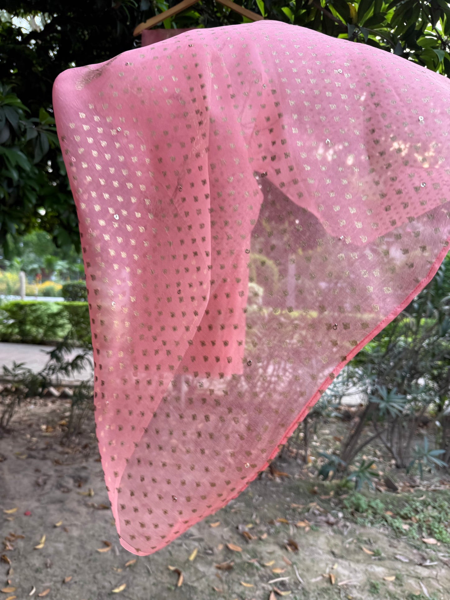 The Banana tree Organza Saree