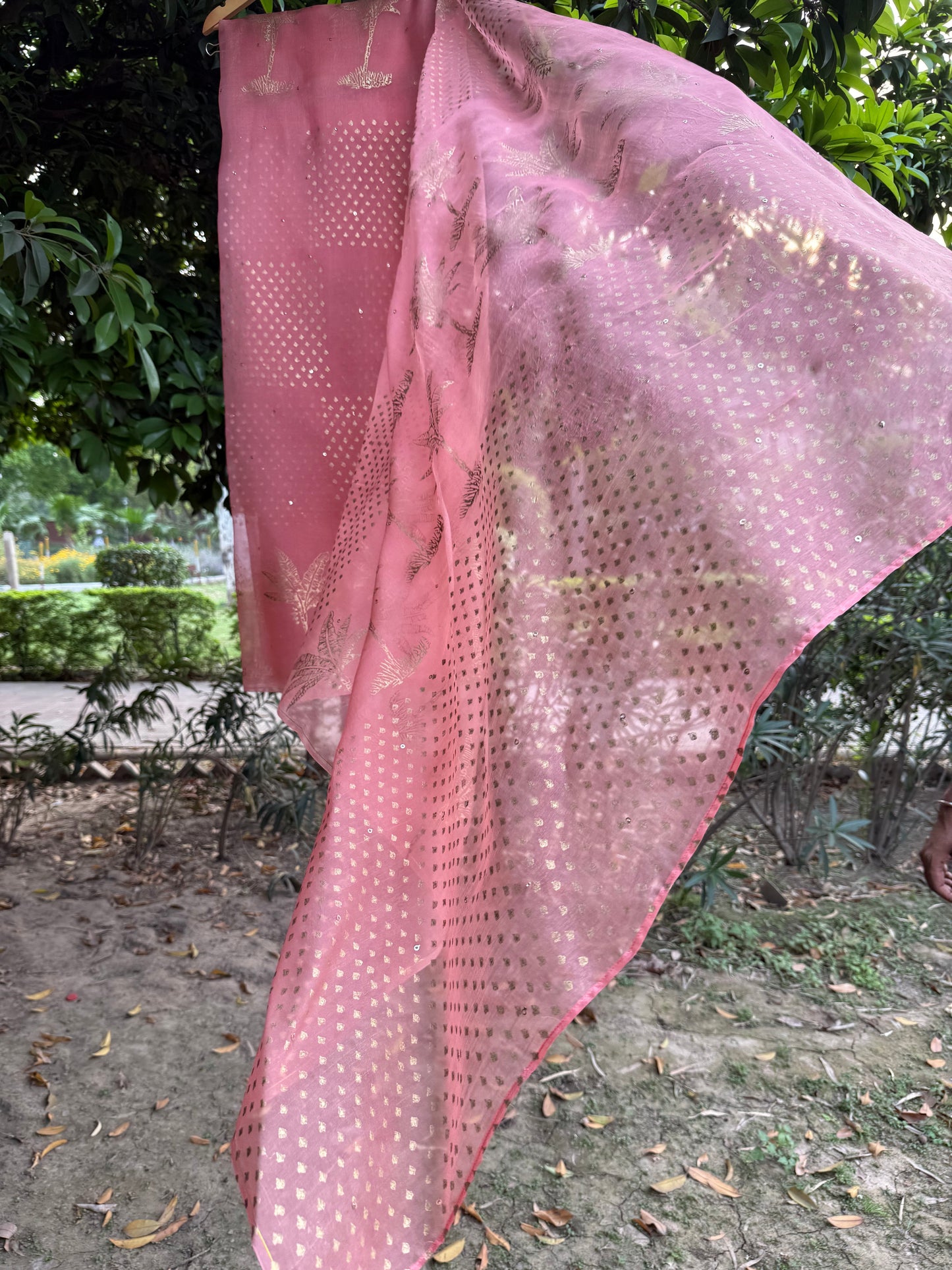 The Banana tree Organza Saree