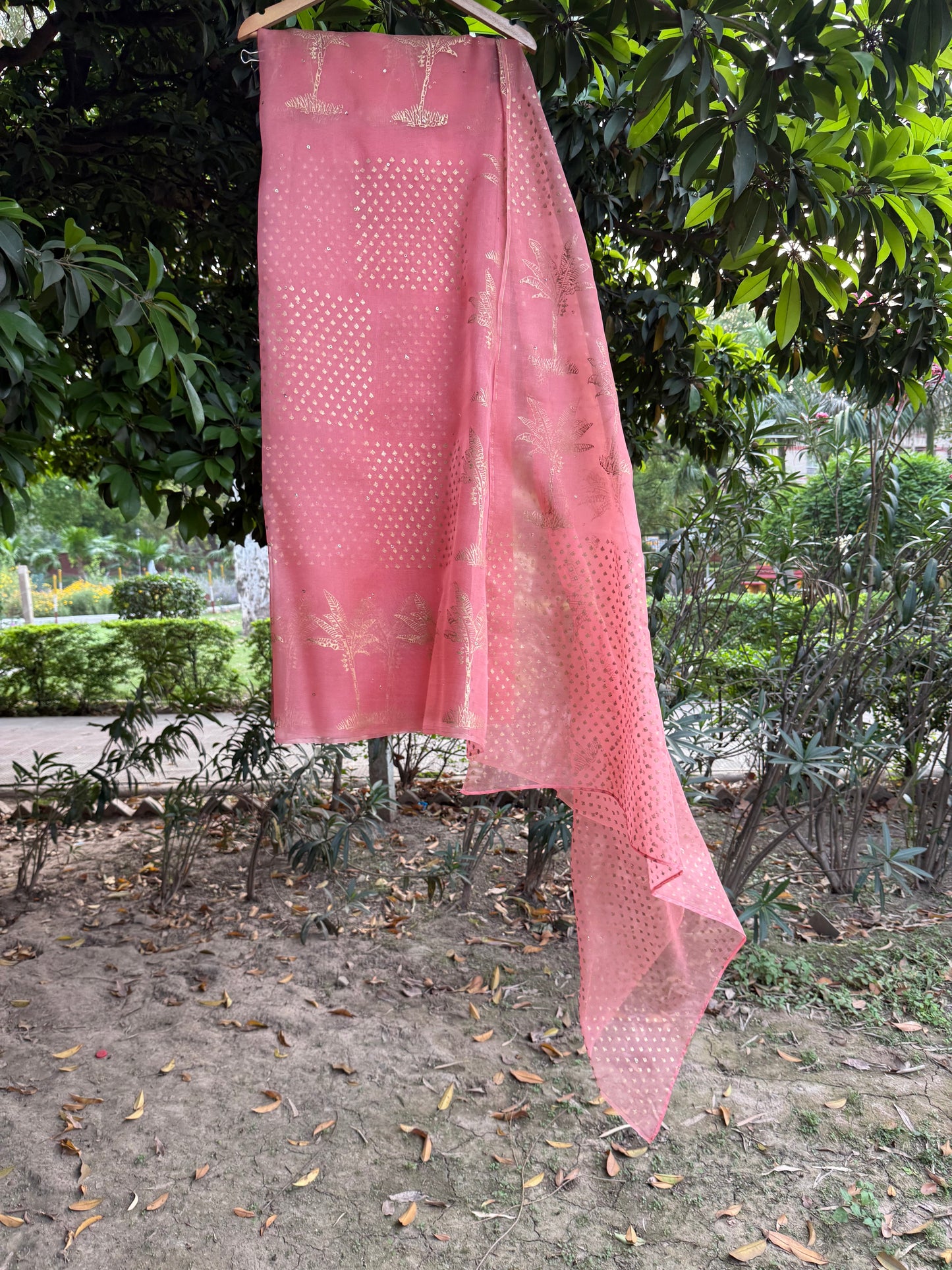 The Banana tree Organza Saree