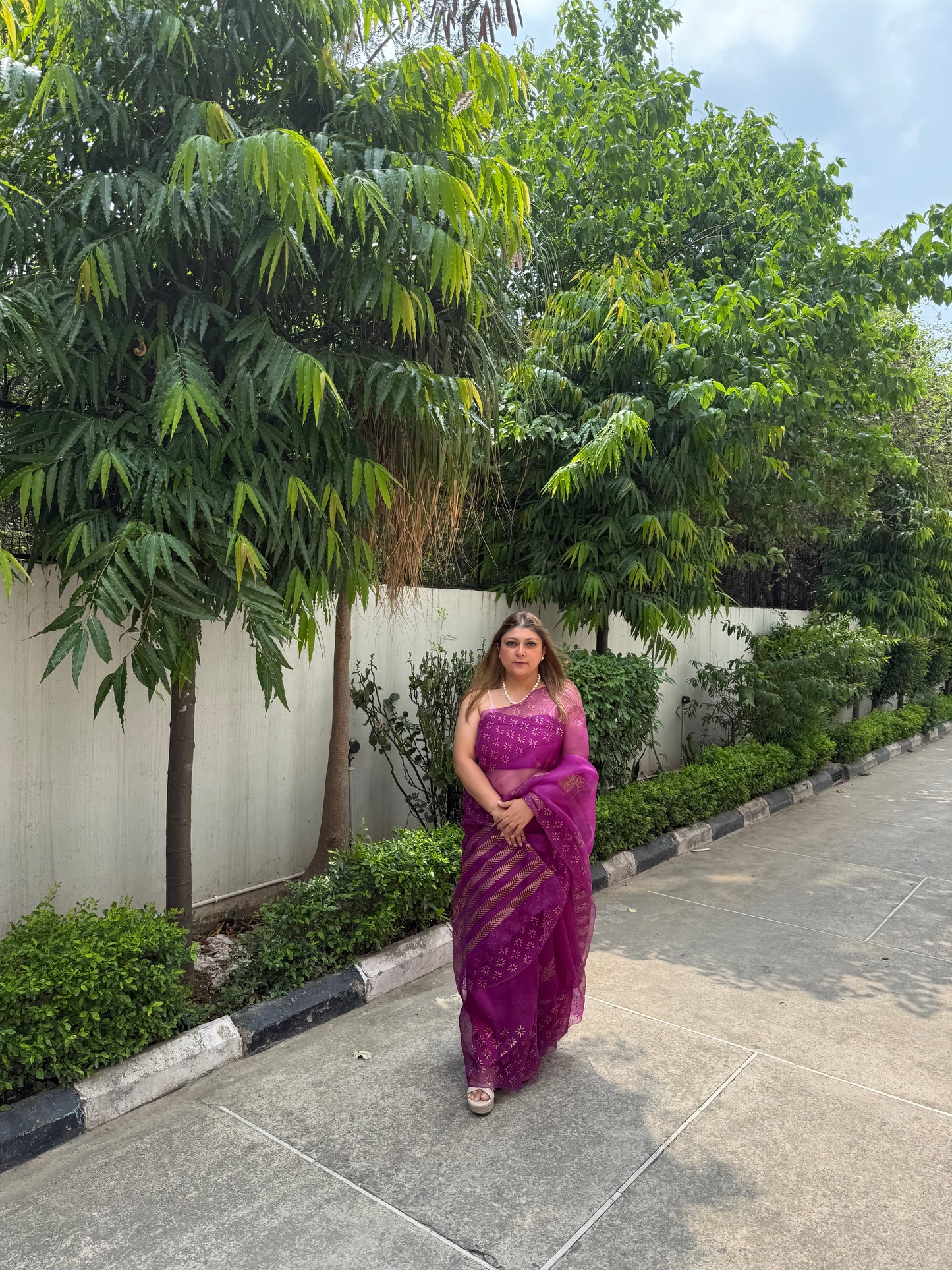 Elephant & Tree Organza Saree