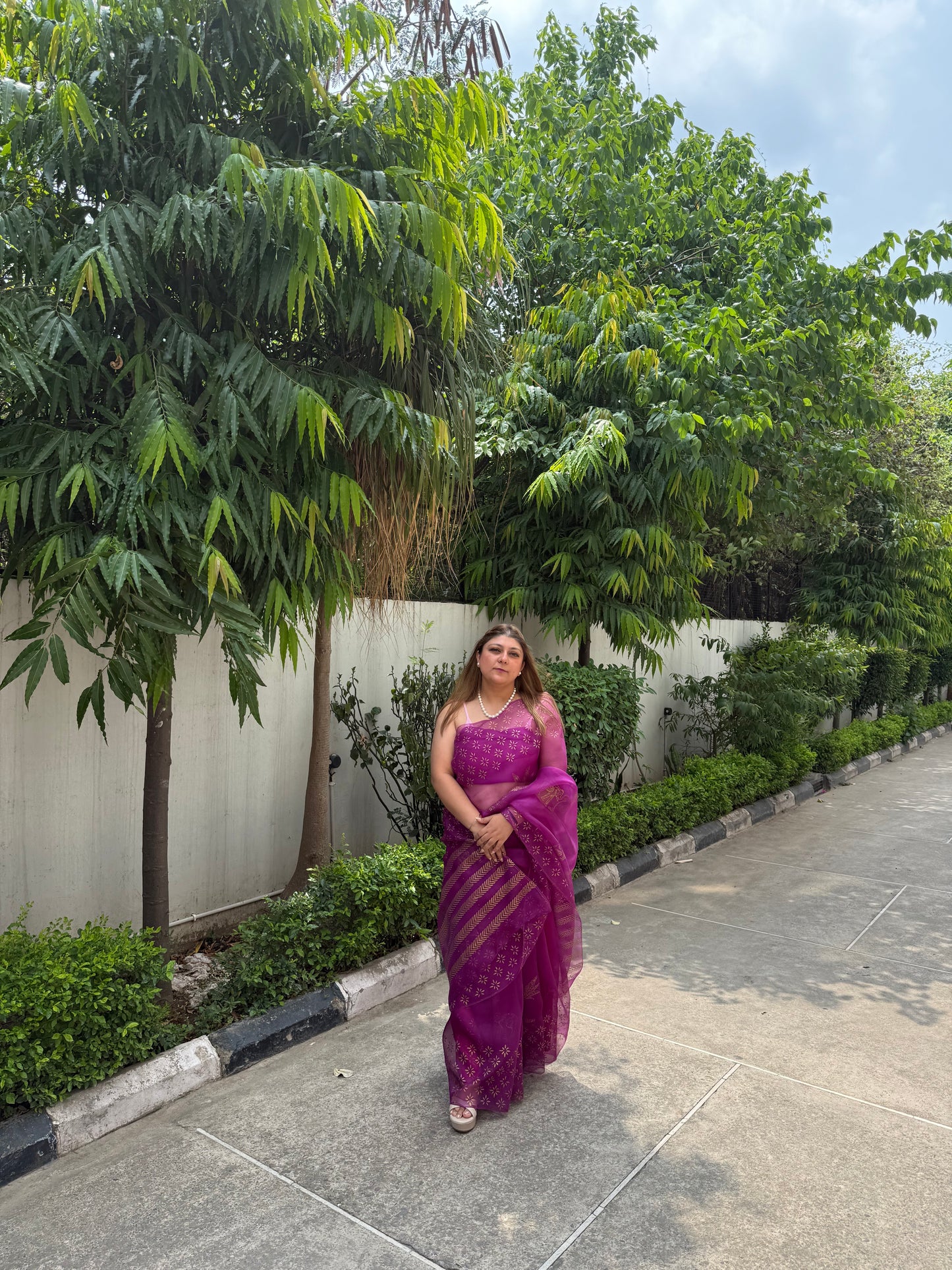 Elephant & Tree Organza Saree