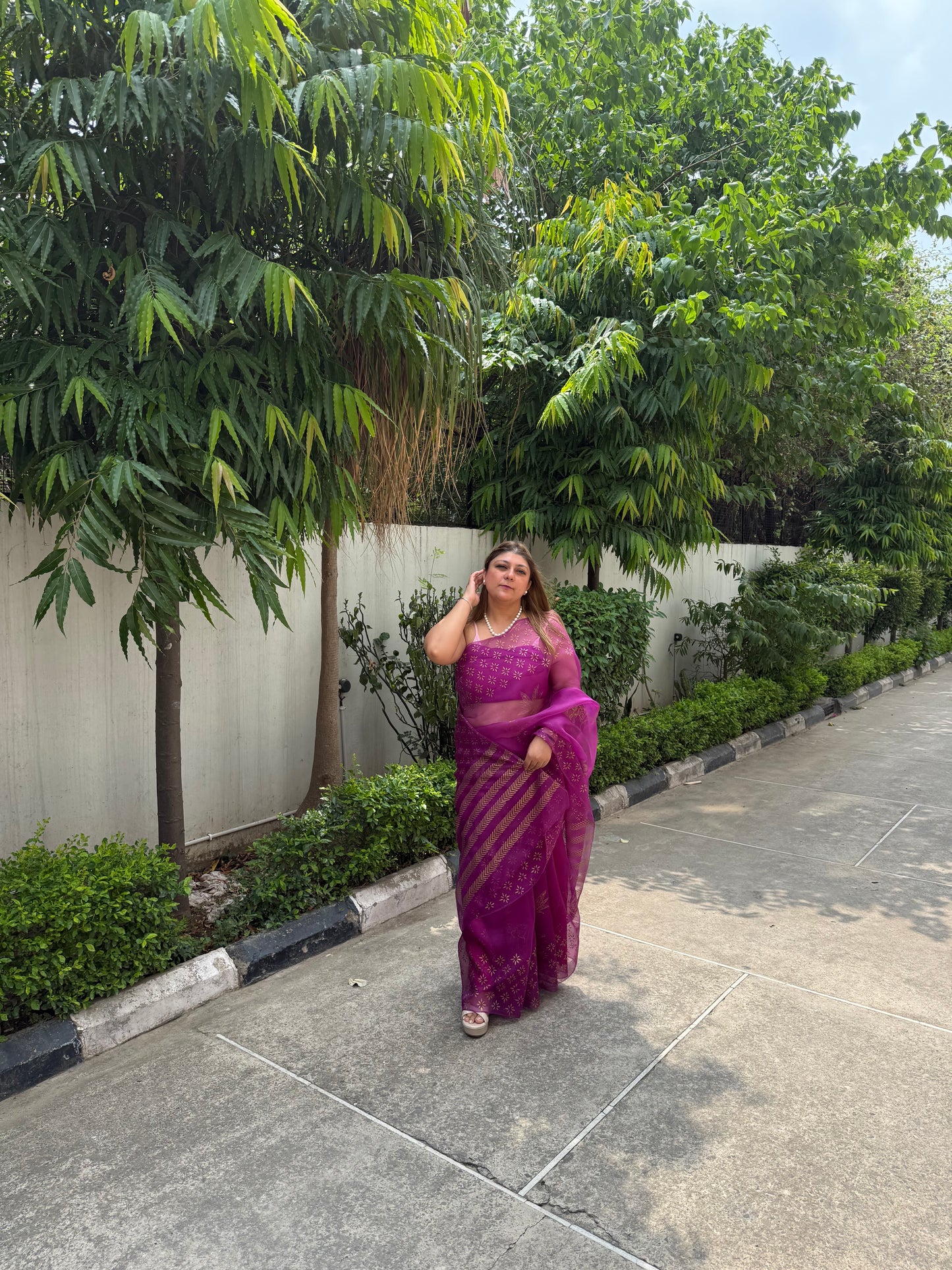Elephant & Tree Organza Saree