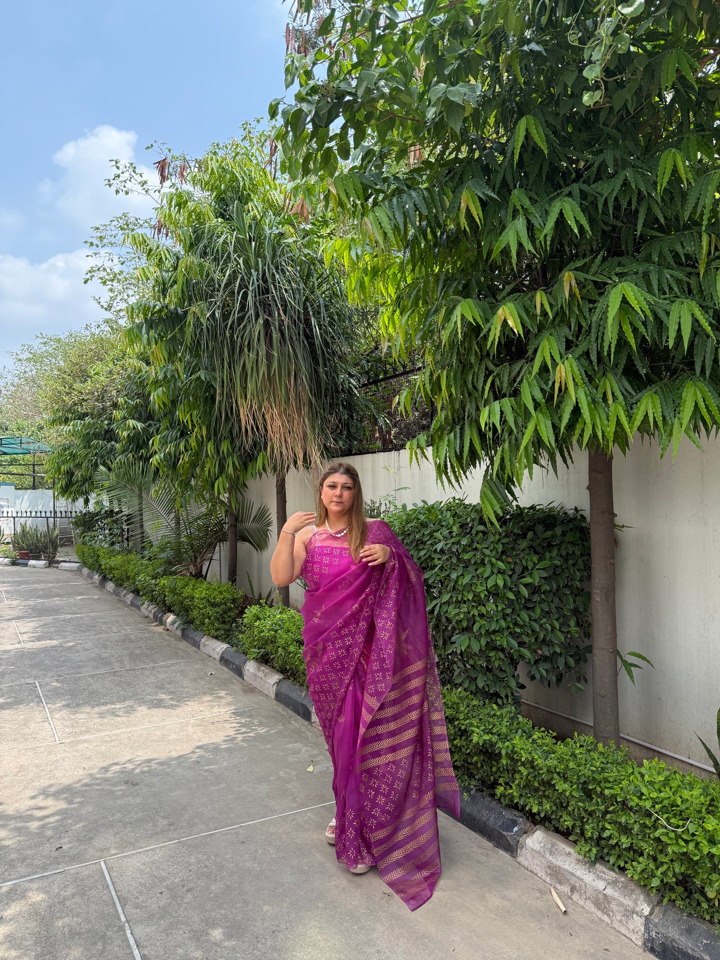 Elephant & Tree Organza Saree