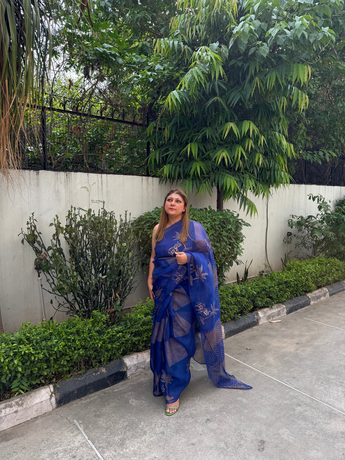 Elephant & Tree Organza Saree