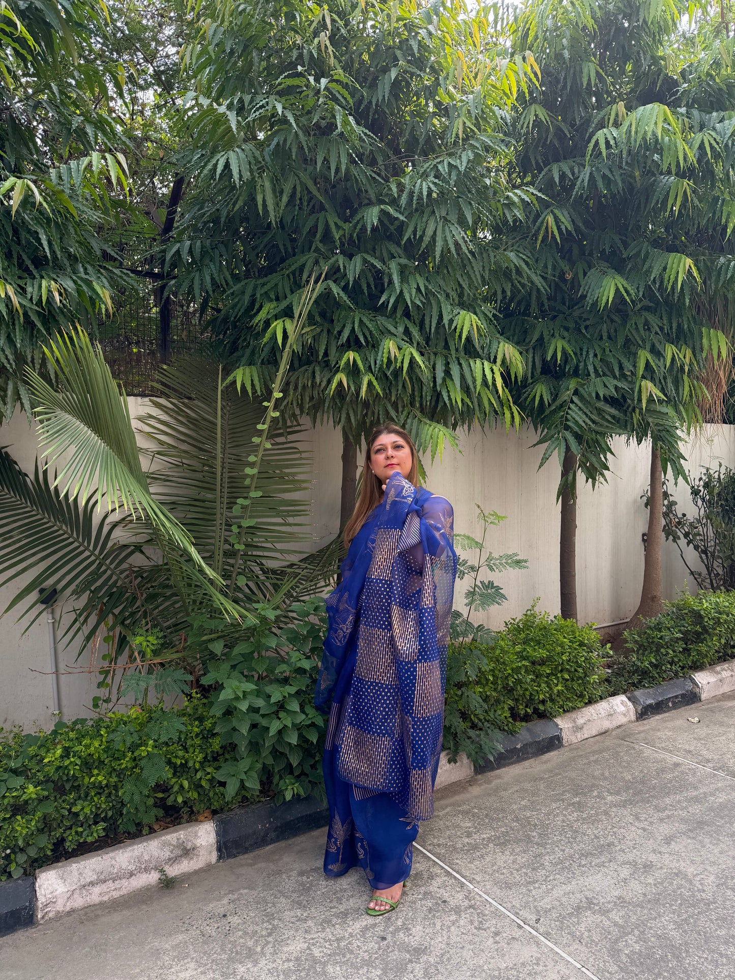 Elephant & Tree Organza Saree