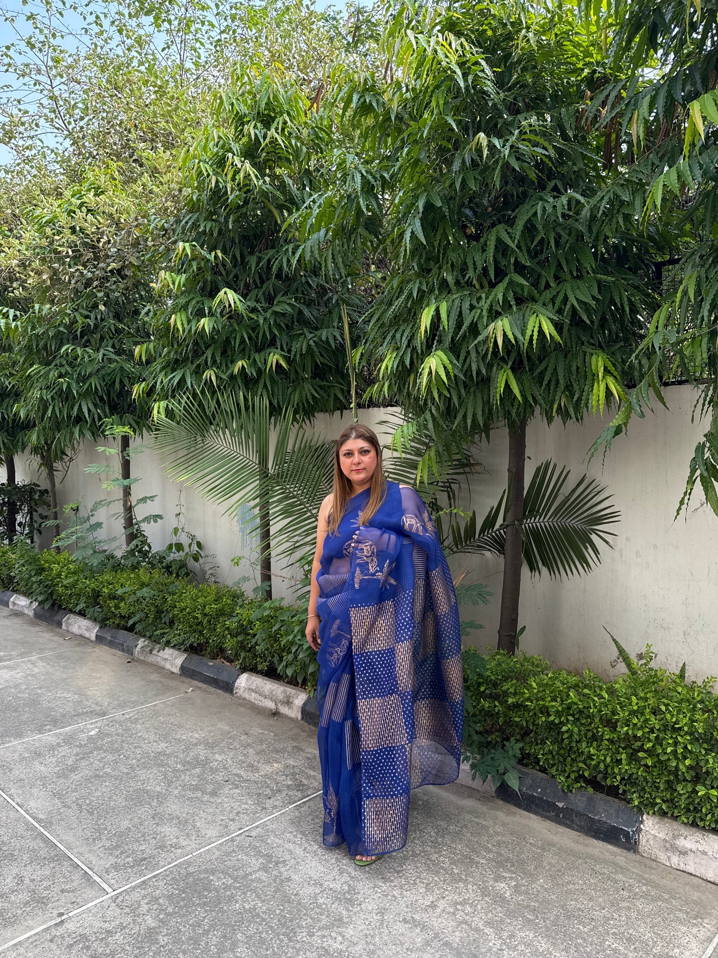 Elephant & Tree Organza Saree