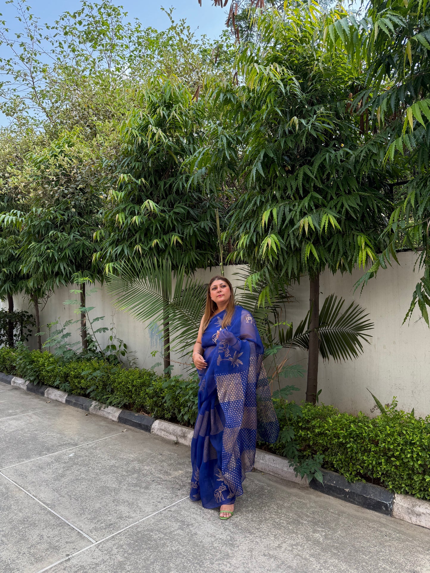 Elephant & Tree Organza Saree