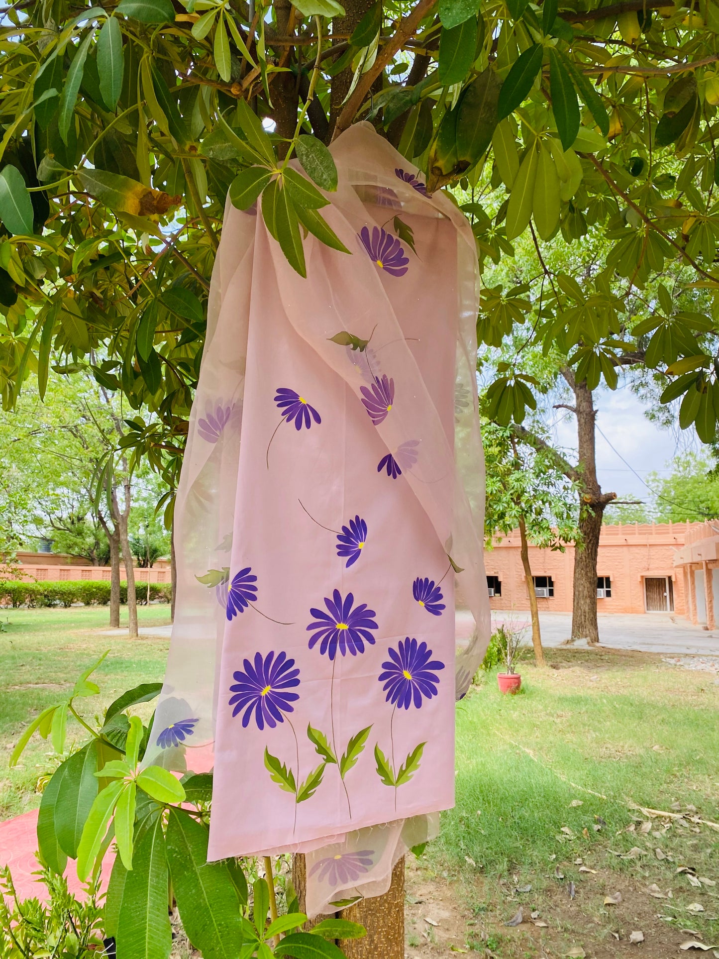 Daisy Cotton Suit
