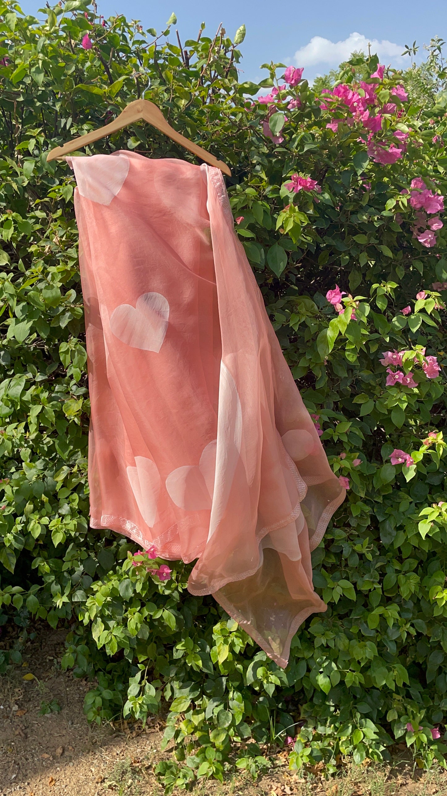 Heart Organza Saree