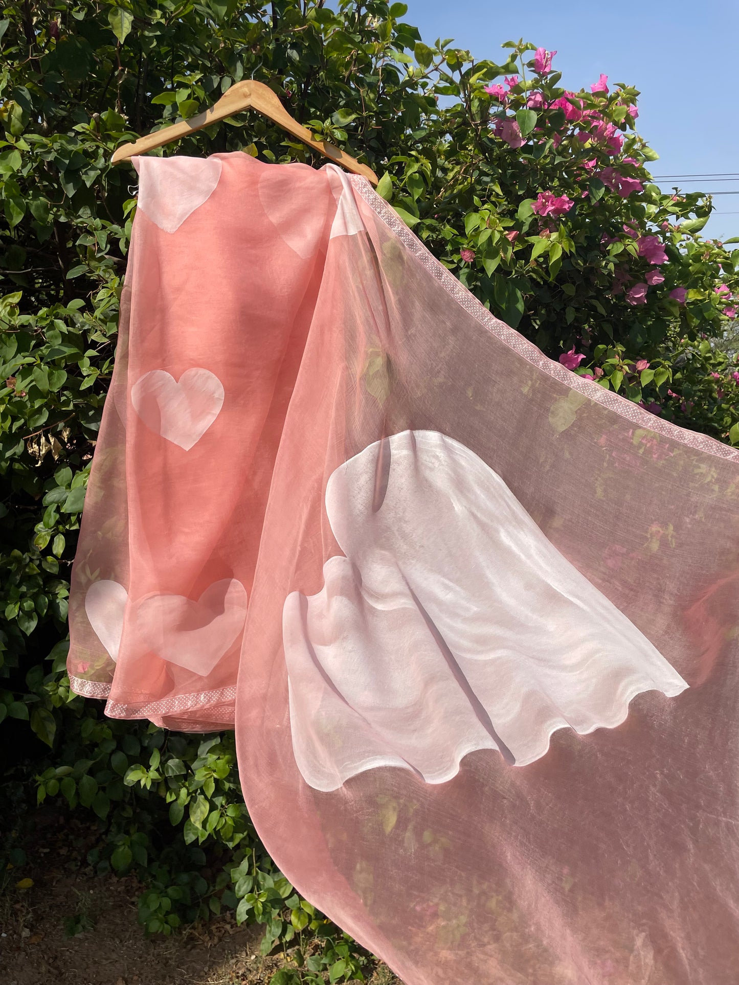 Heart Organza Saree