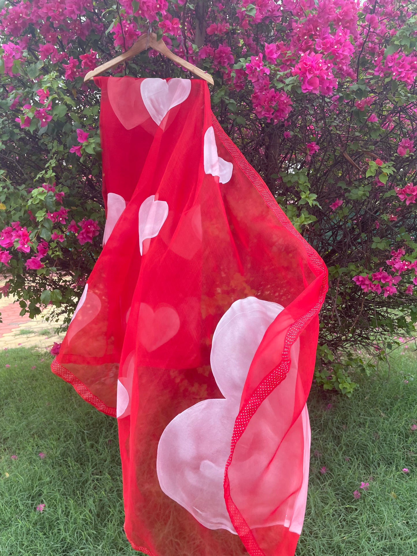 Heart Organza Saree