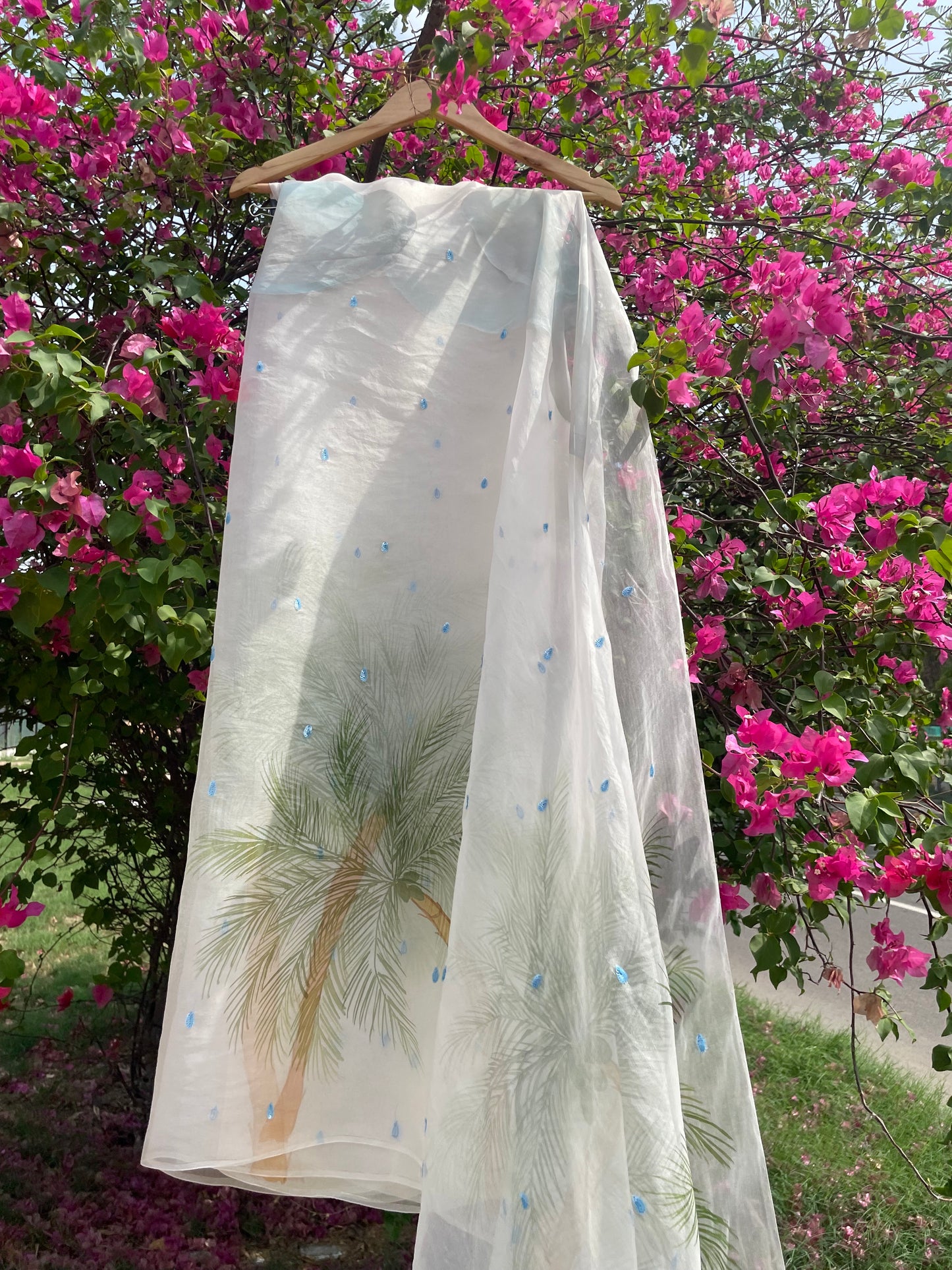 Rain & tree Organza Saree