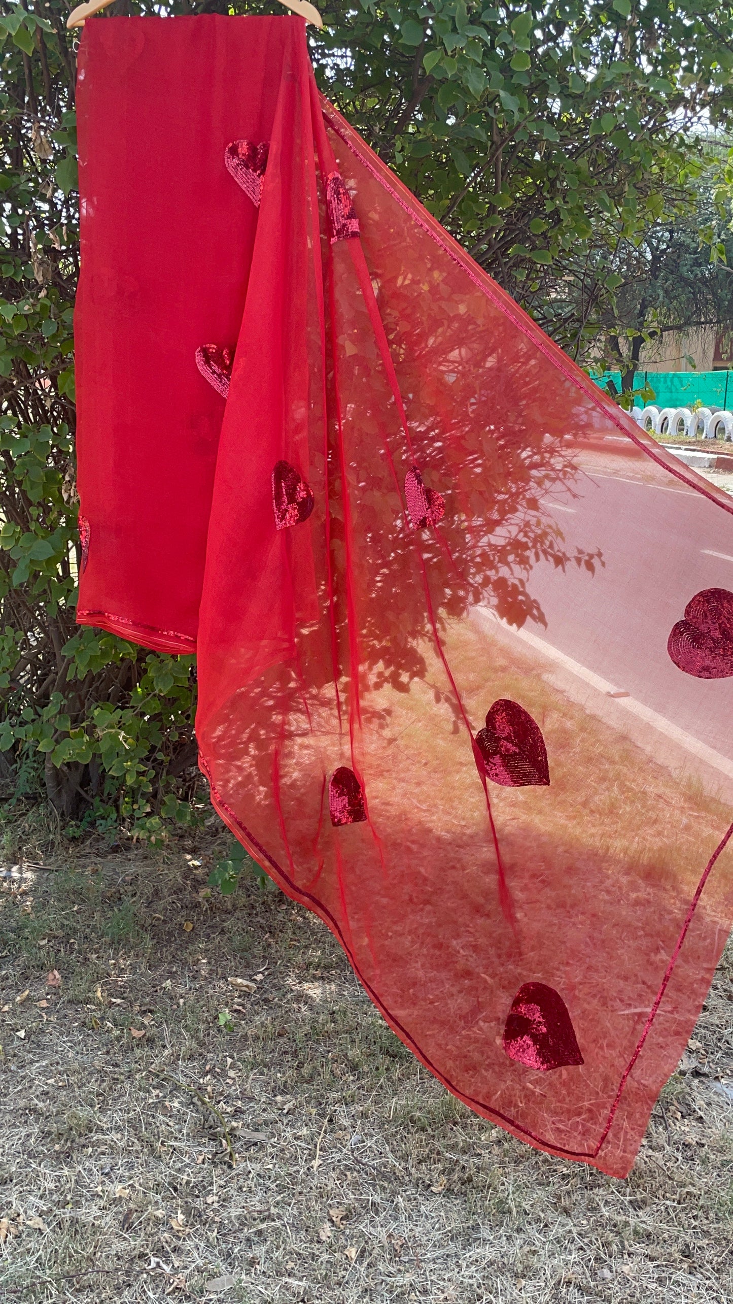 Small Sequins Heart Organza Saree