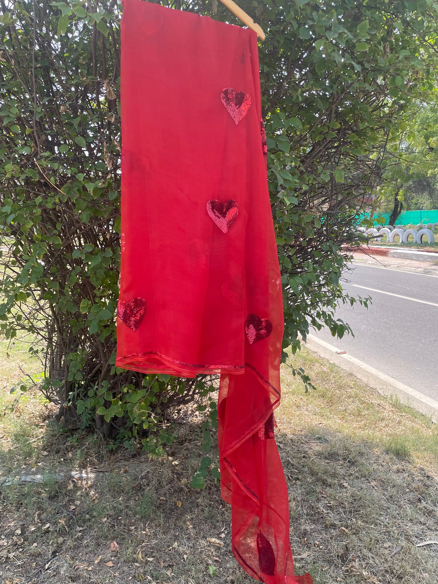 Small Sequins Heart Organza Saree