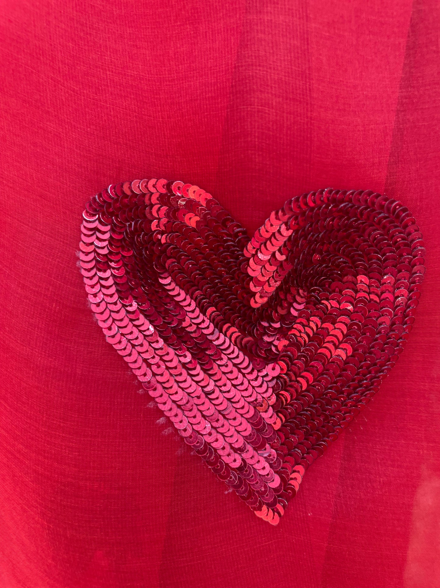 Small Sequins Heart Organza Saree