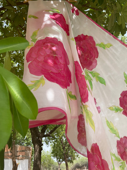 Camellia Chiffon Saree