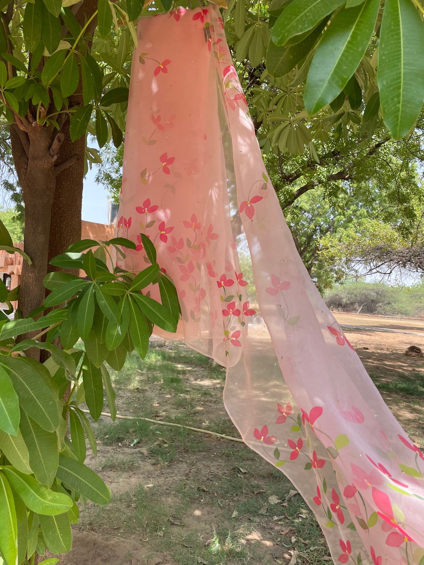 Bougainvillea Organza Saree