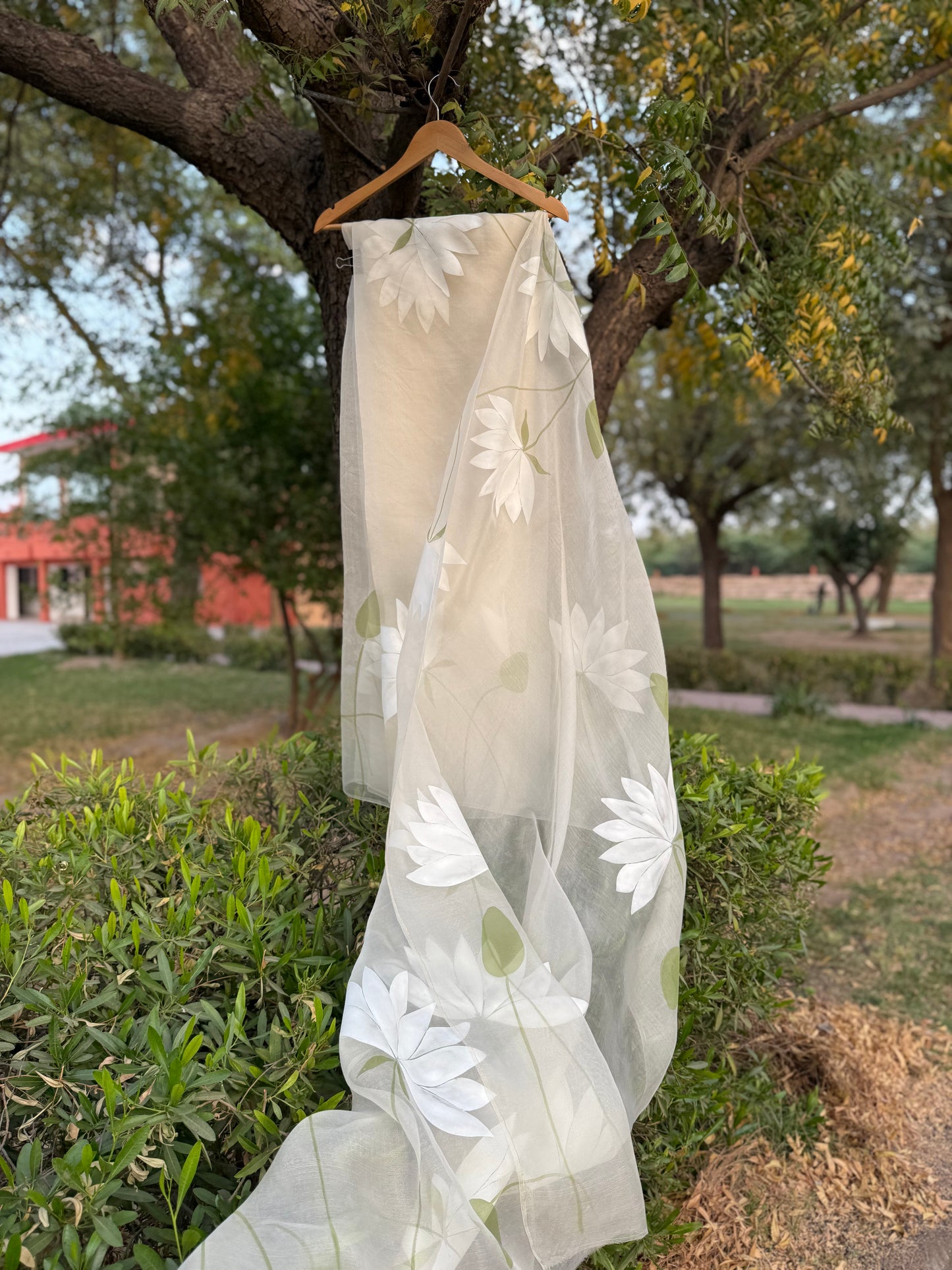 White Lotus Organza Saree