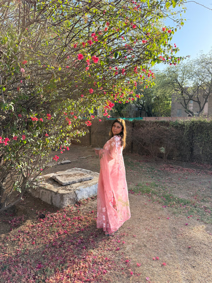 Multi Floral Organza Saree