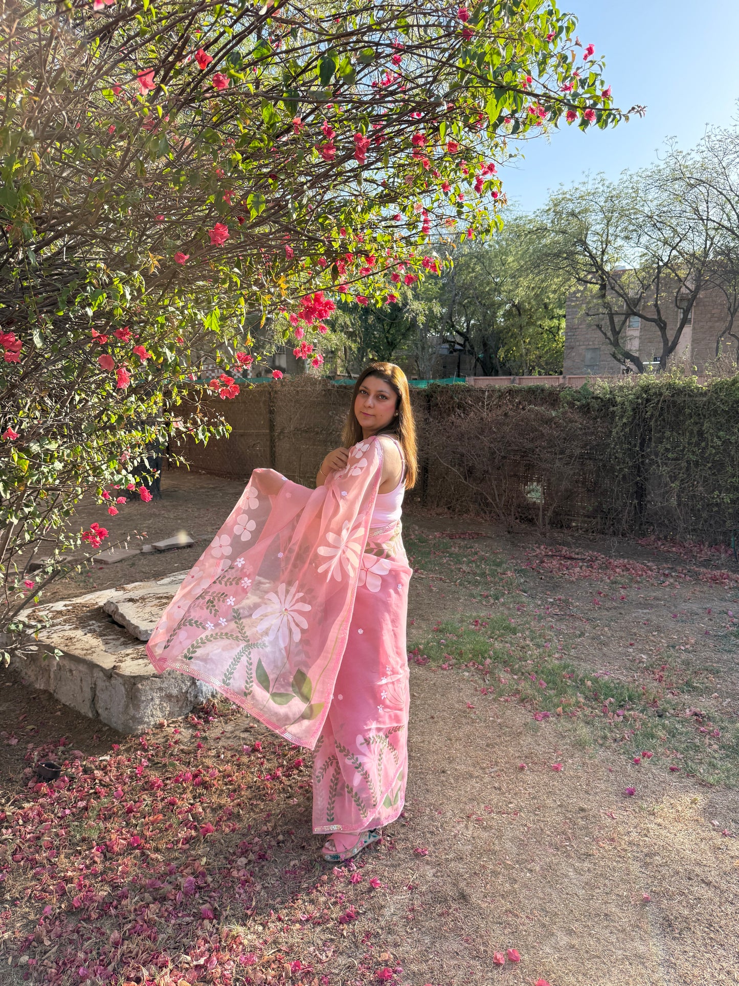 Multi Floral Organza Saree