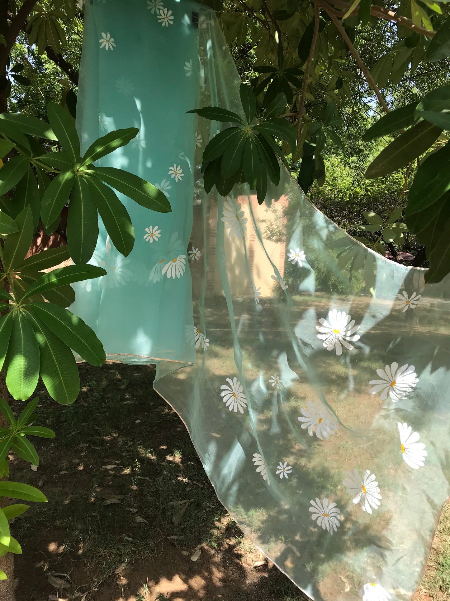 Daisy Organza Saree
